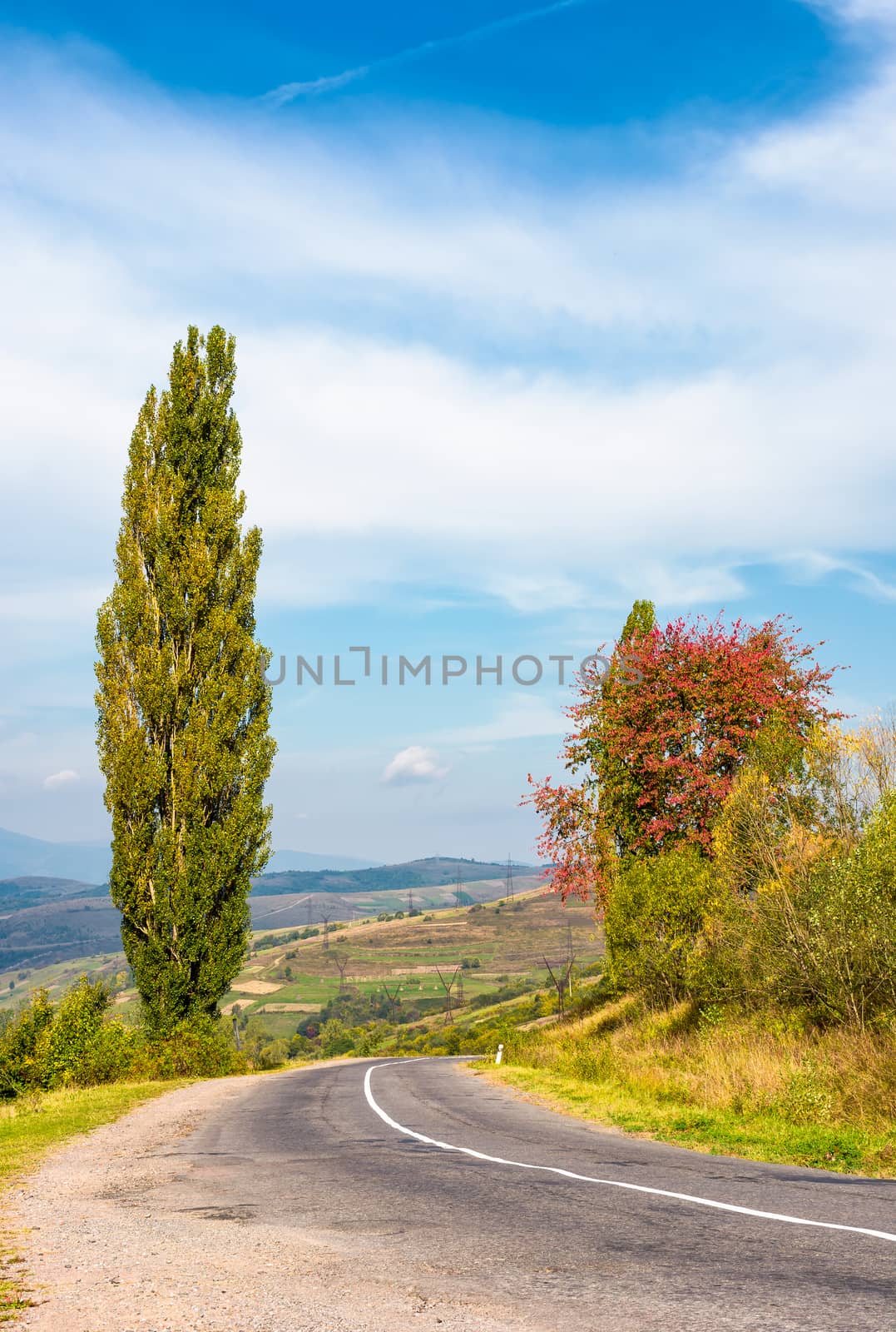 asphalt country road through hills with trees by Pellinni