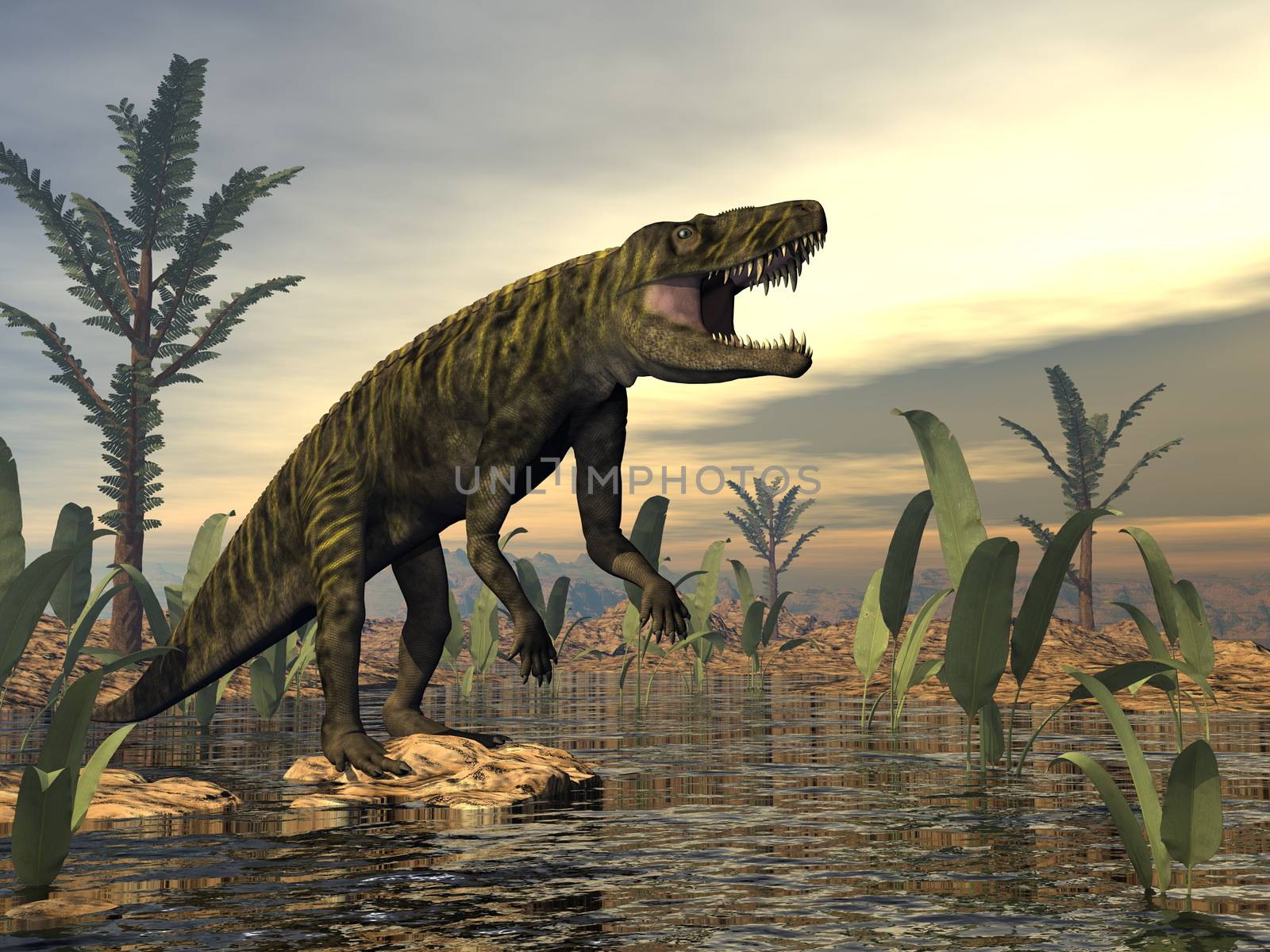 Batrachotomus dinosaur roaring upon a swamp with macrotaeniopteris plants by sunset - 3D render