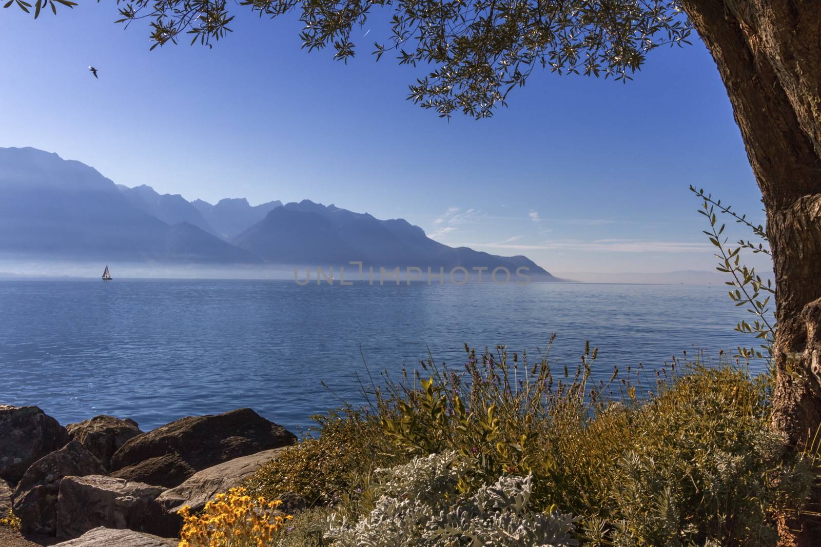 Alps mountains upon Geneva lake, Montreux, Switzerland by Elenaphotos21