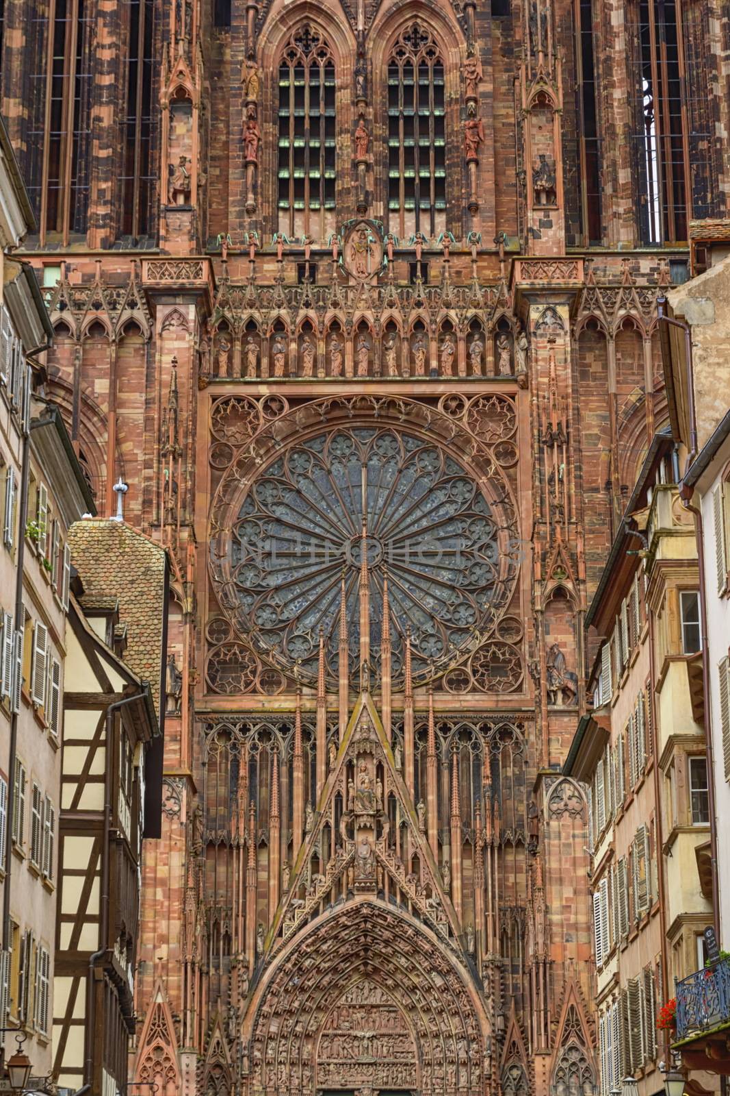 Cathedrale Notre-Dame or Cathedral of Our Lady in Strasbourg, Al by Elenaphotos21