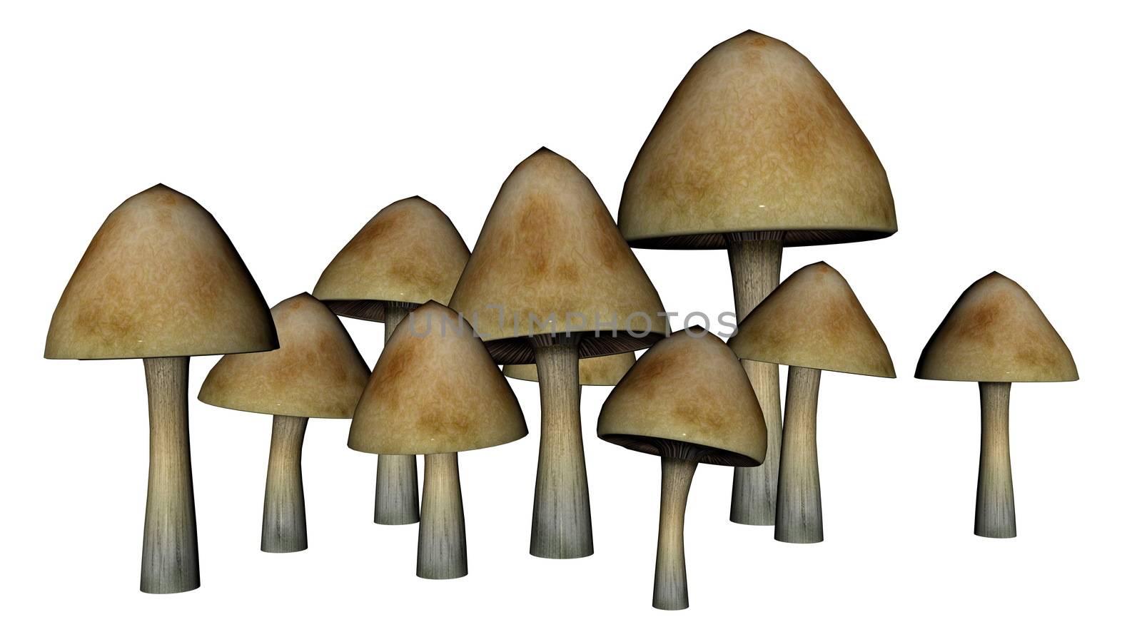 Common mushrooms - 3D render by Elenaphotos21