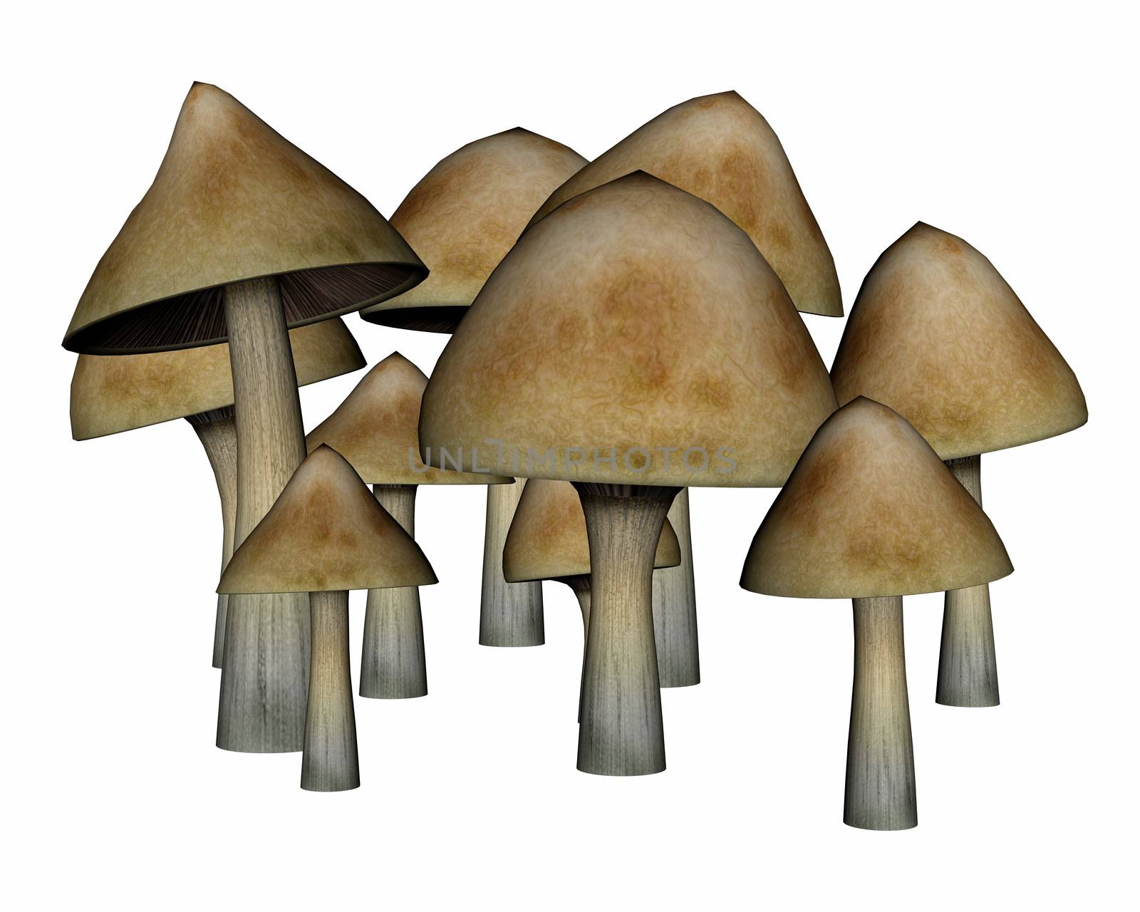 Common mushrooms isolated in white background - 3D render