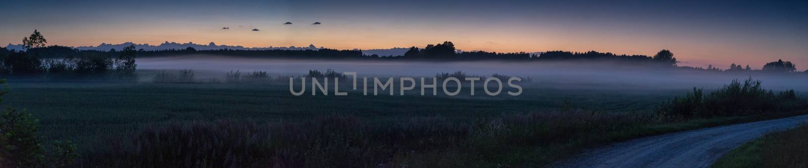 Evening fog in european field by javax