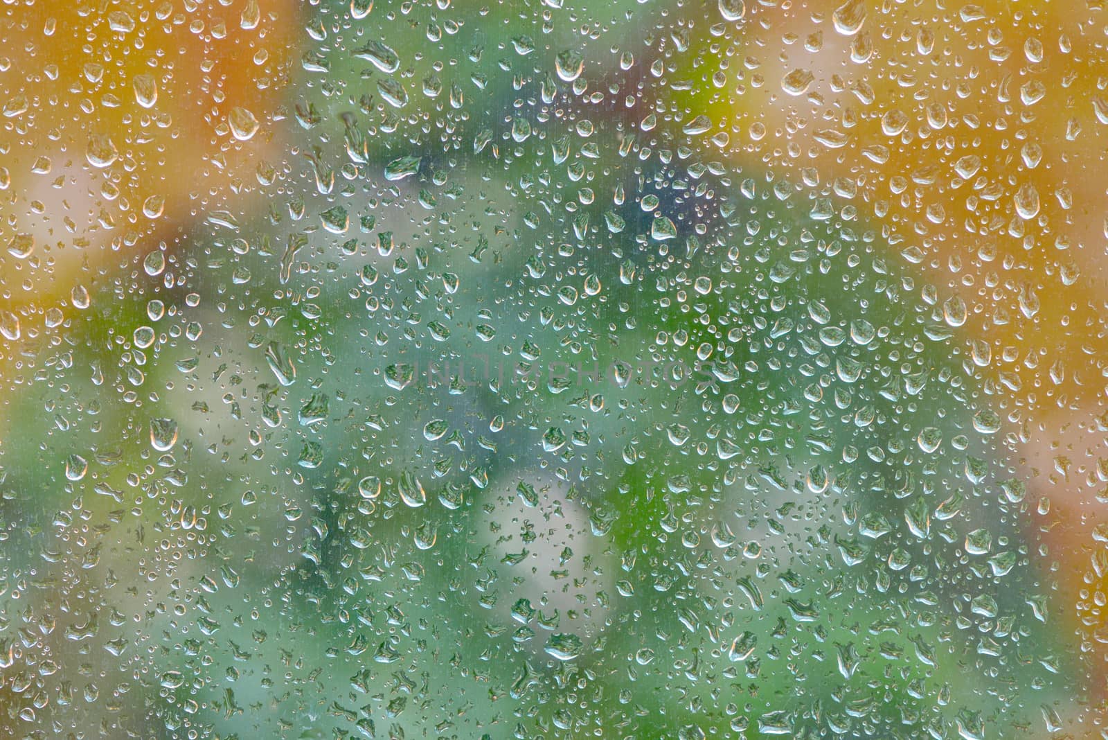 Water drops on glass window by jordachelr