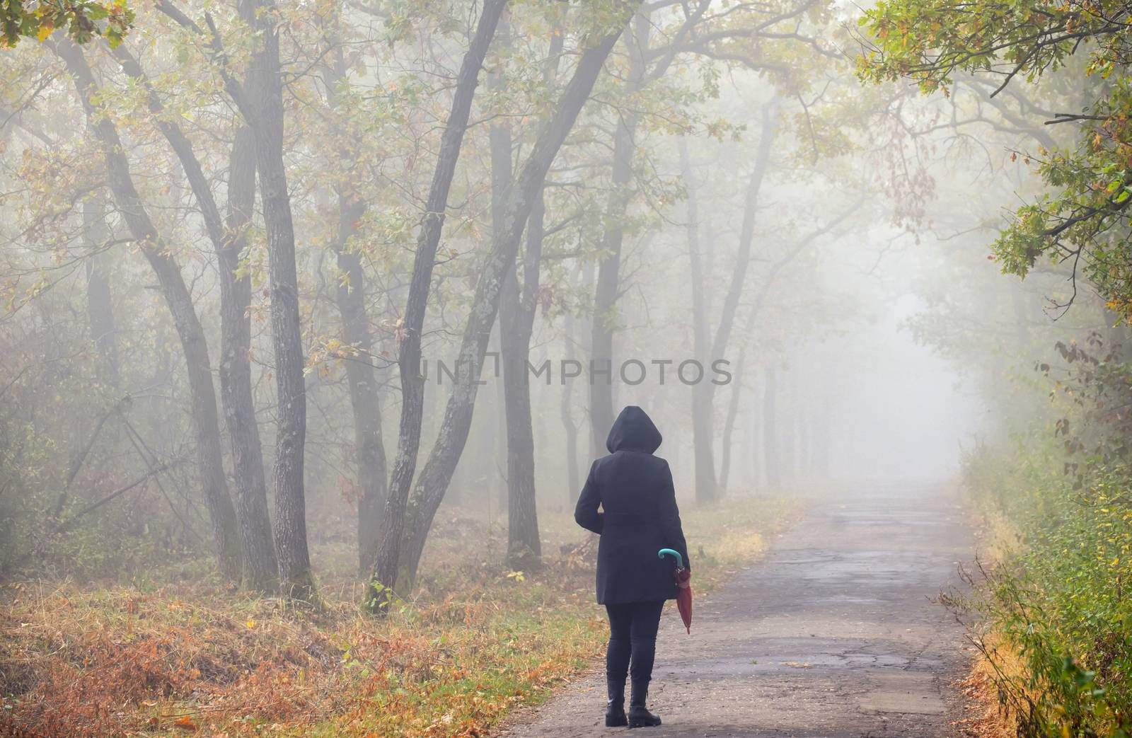 Woman with umbrella on road and foggy forest