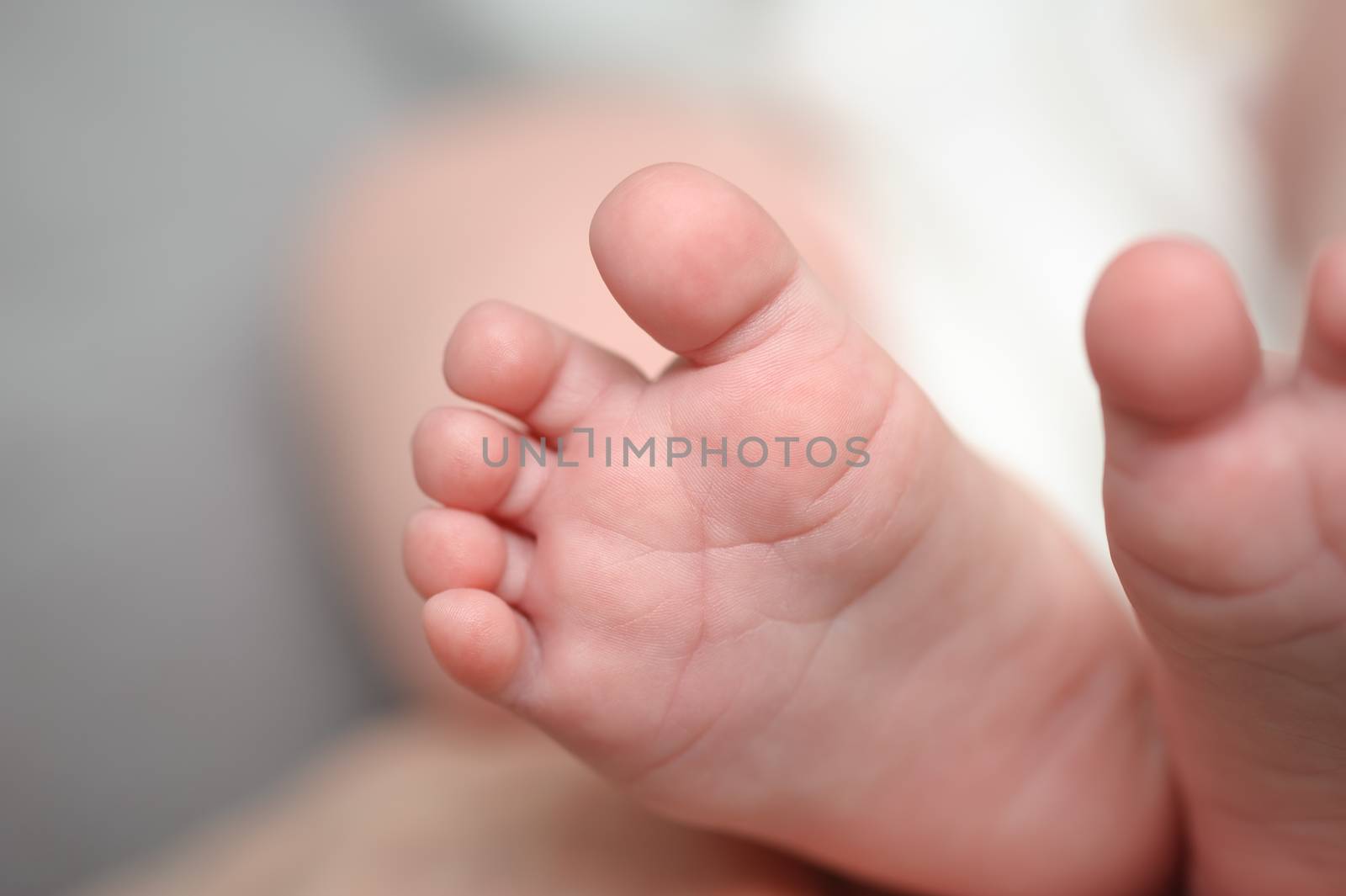 Mothers hands holding little newborn baby feet, macro closeup, selective focus
