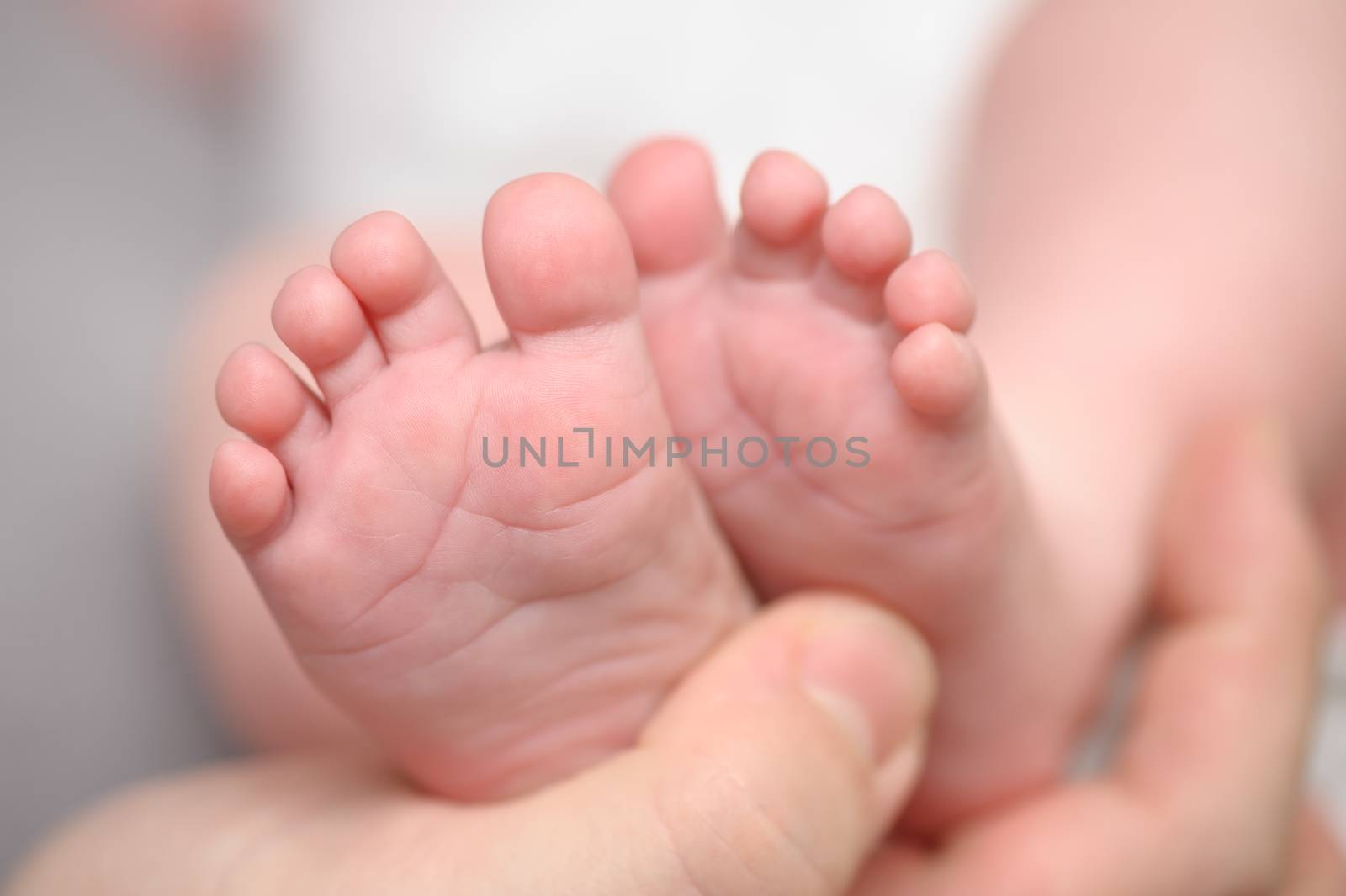 Mothers hands holding little newborn baby feet, macro closeup, selective focus