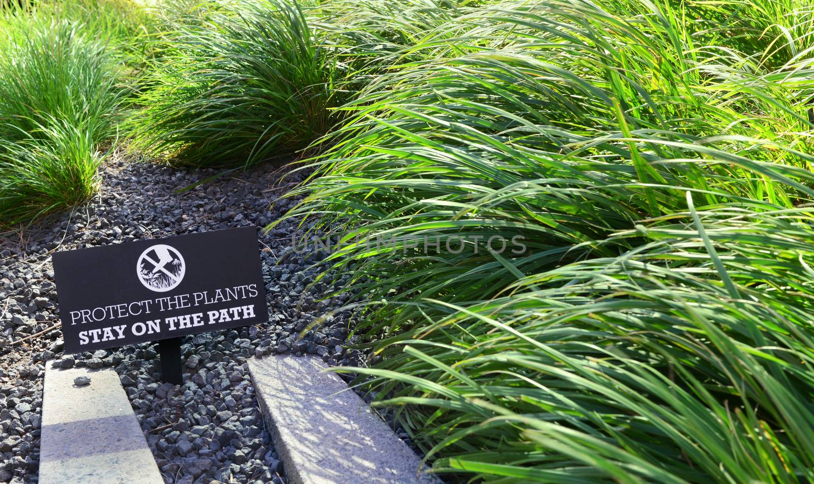 PROTECT THE PLANTS sign in a flower bed among green grasses on the High Line in New York City