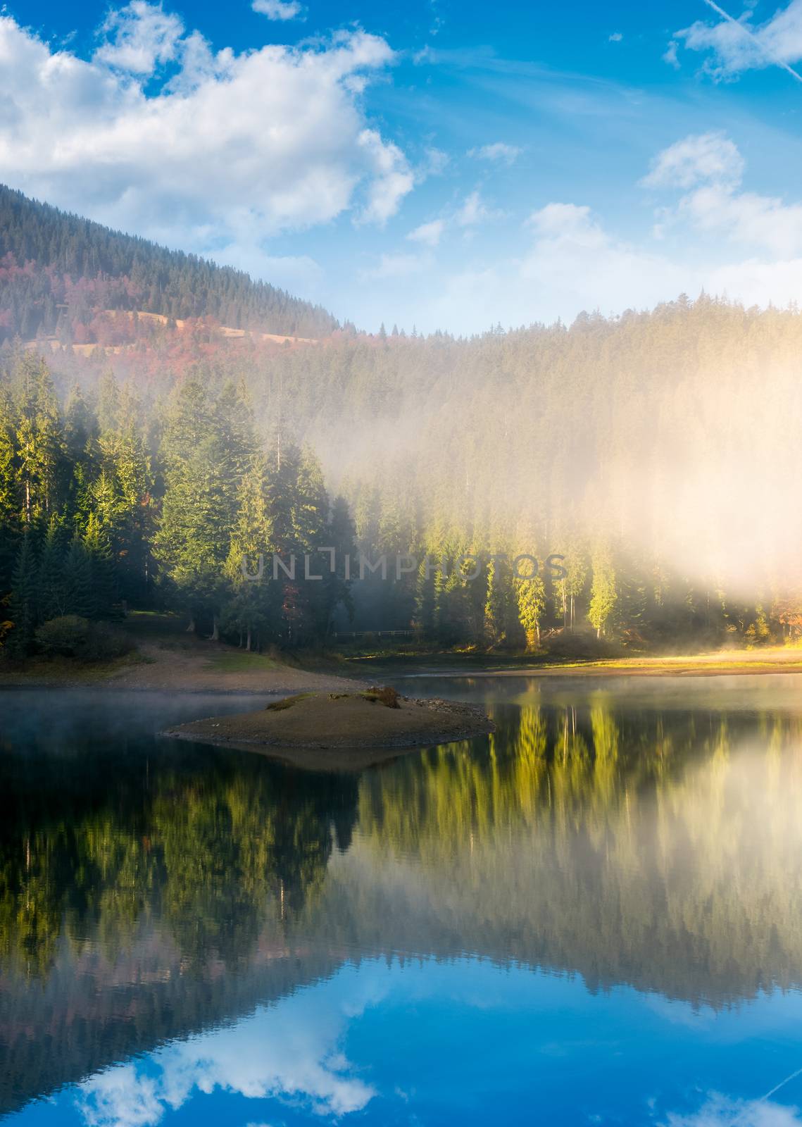 lake in spruce forest at foggy sunrise by Pellinni