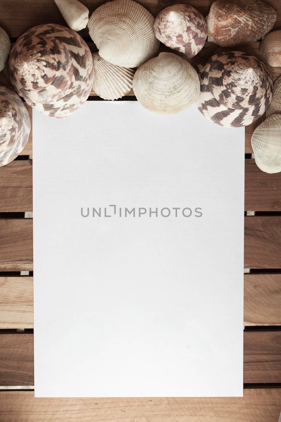 White blank paper with seashells and grunge wooden planks