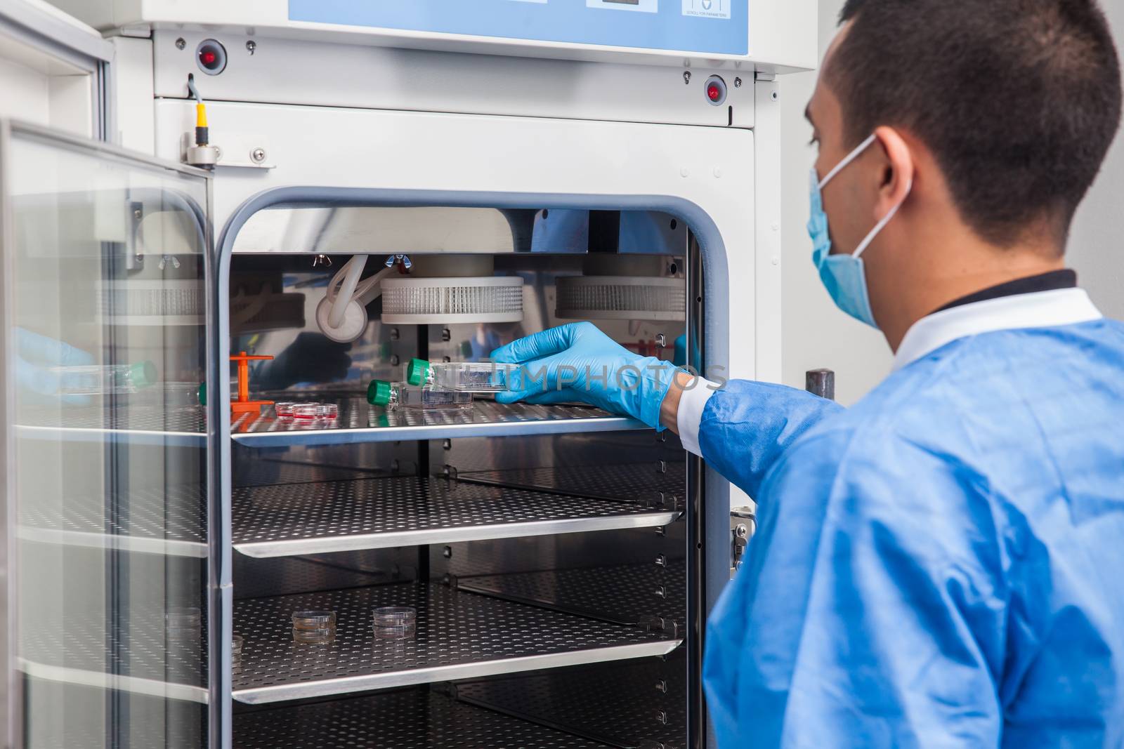 Young laboratory researcher introducing a cell culture flask into an incubator