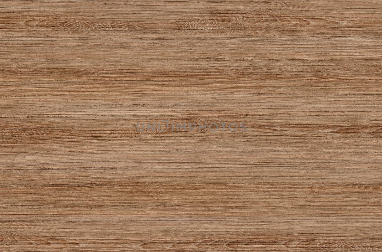 Brown wood texture. Abstract wood texture background.