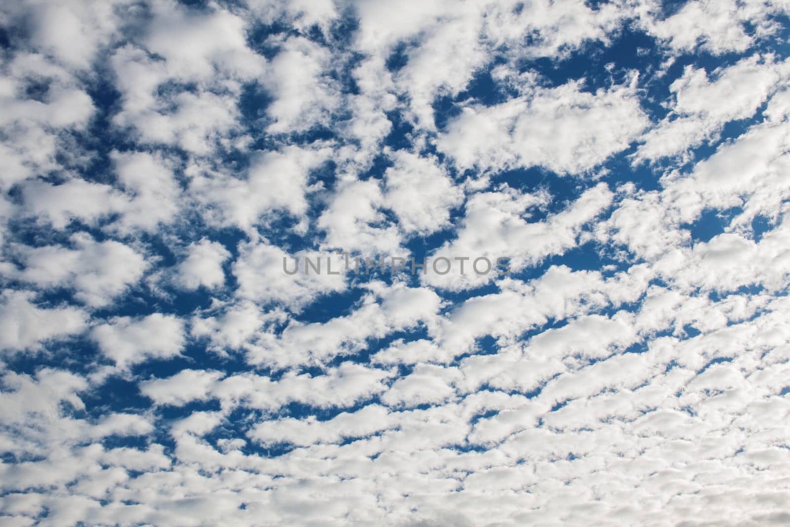 The sky with beauty of white clouds.