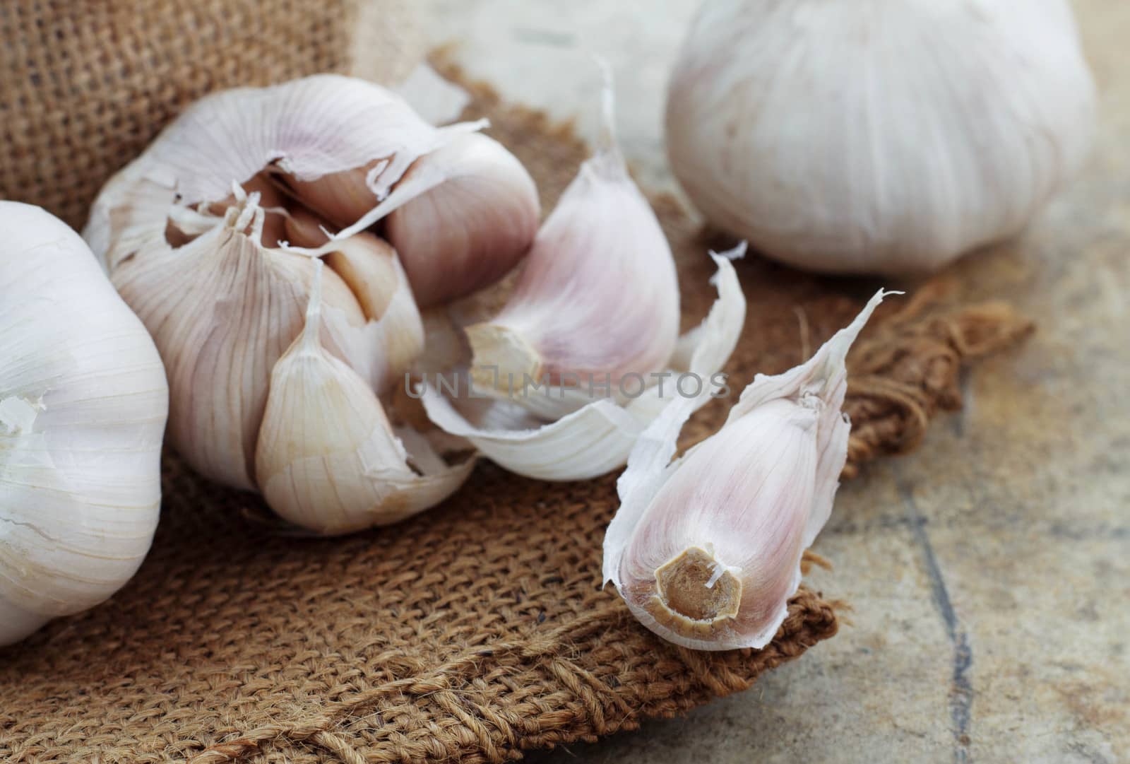 Dry garlic on sack of the old floor.