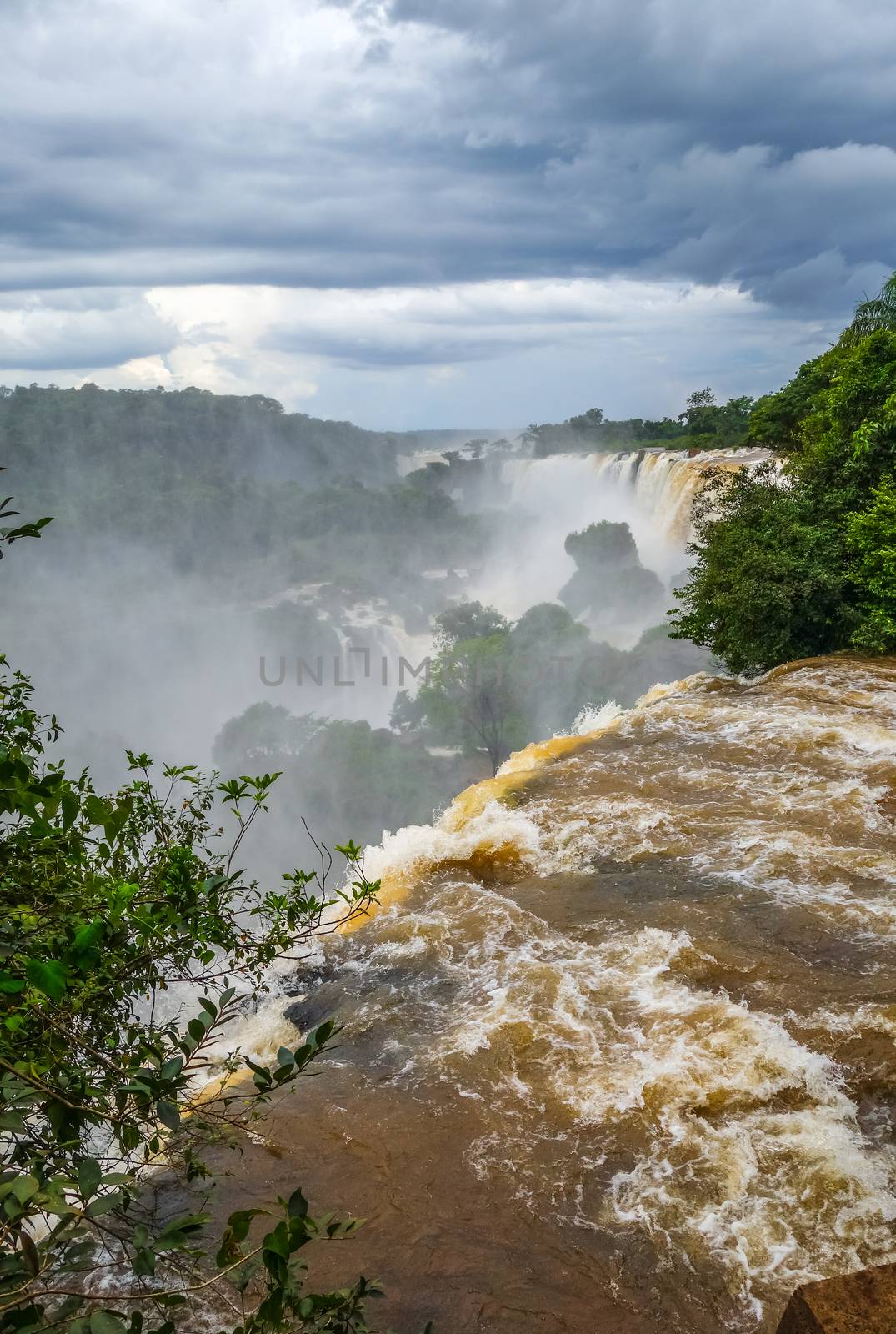 iguazu falls national park. tropical waterfalls and rainforest landscape