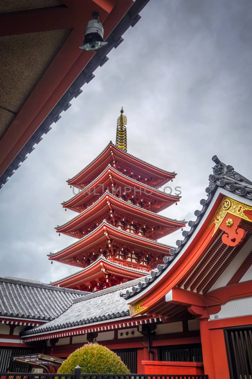 Pagoda in Senso-ji temple, Tokyo, Japan by daboost