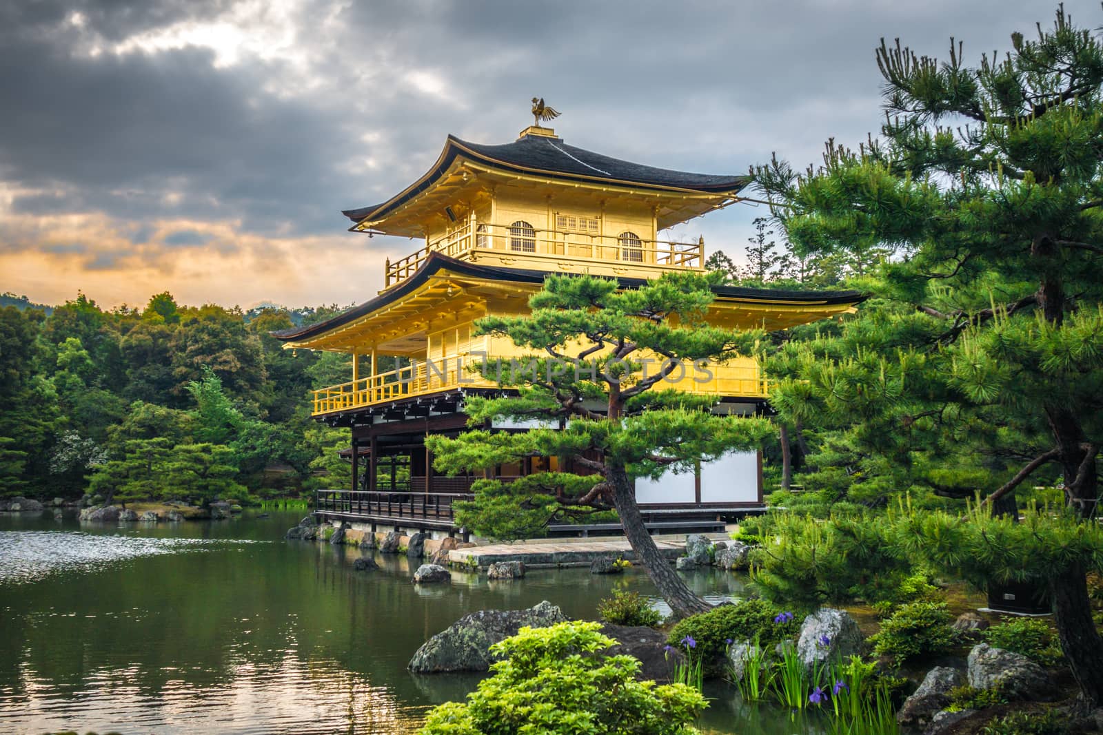 Kinkaku-ji golden temple, Kyoto, Japan by daboost