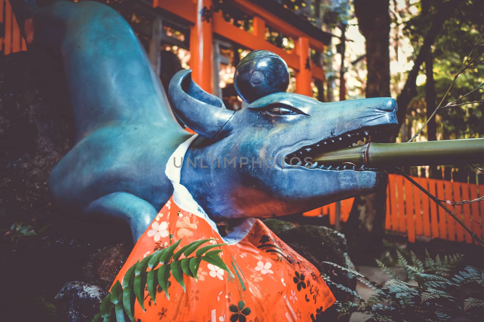 Fox purification fountain at Fushimi Inari Taisha, Kyoto, Japan by daboost