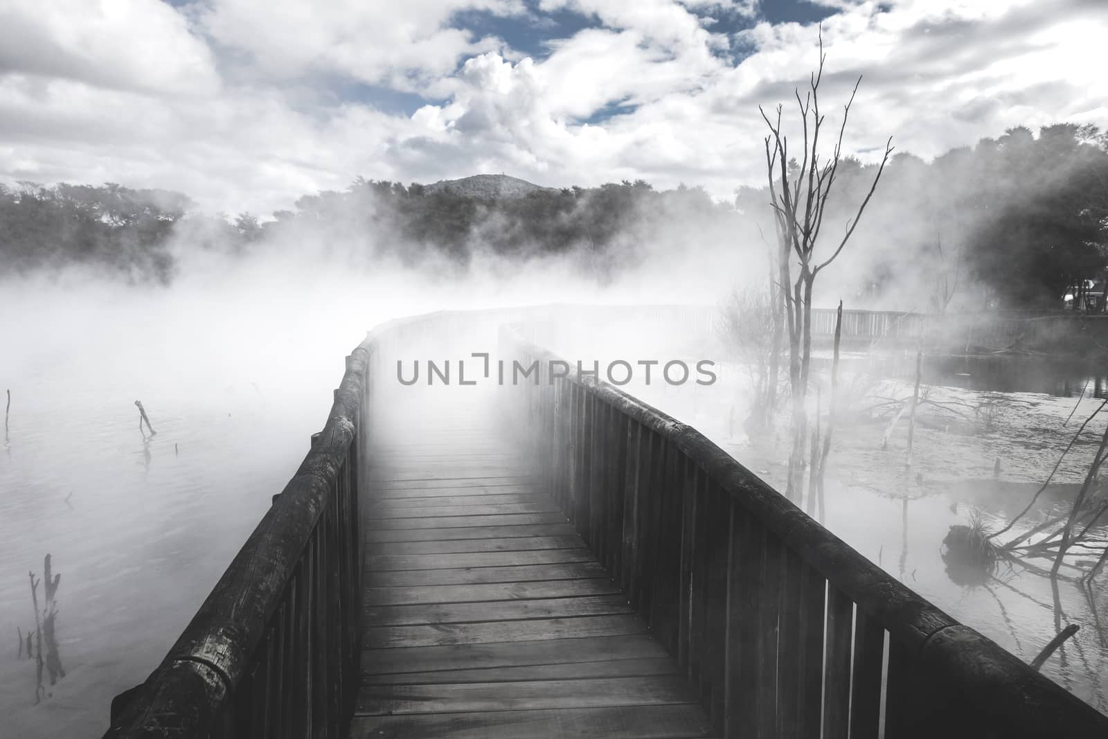 Bridge on a misty lake in Rotorua, New Zealand by daboost