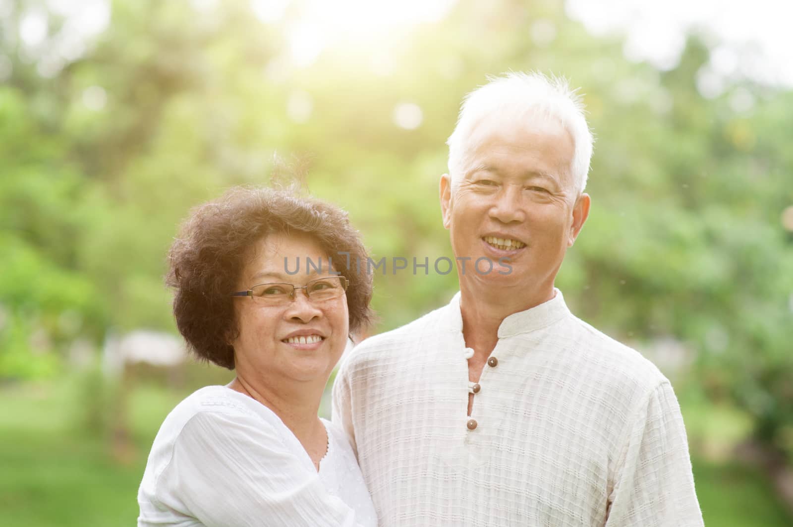 Happy Asian senior couple smiling in a park on a sunny day.