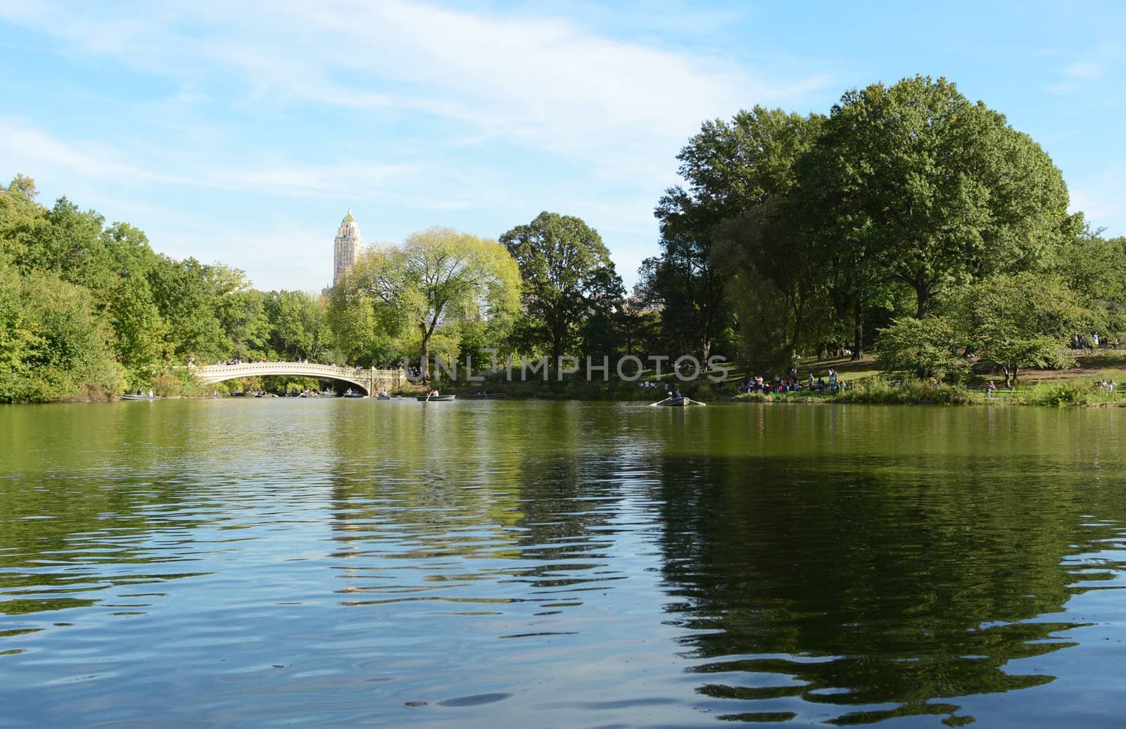 Bow Bridge over The Lake in Central Park on a sunny day. Tourists and locals relax on the grass and row boats across the water.