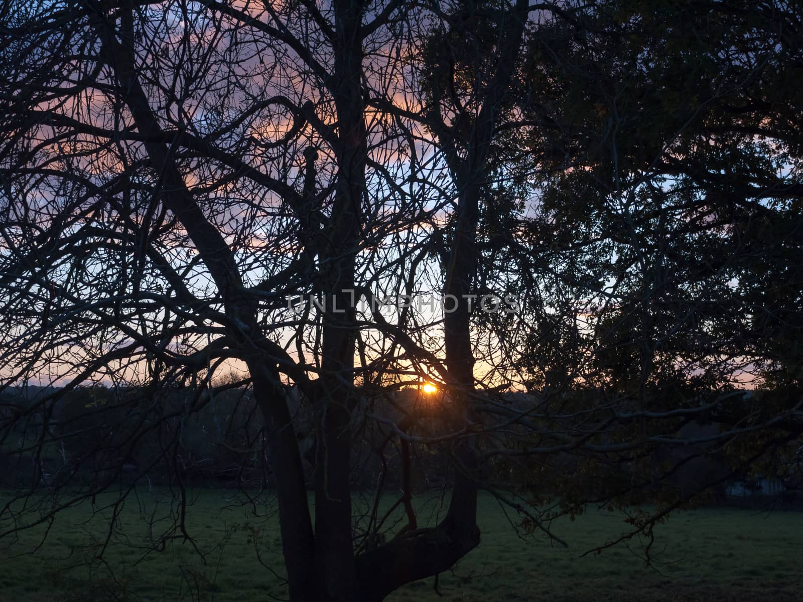 beautiful open autumn field Dedham sun set light tree branches s by callumrc