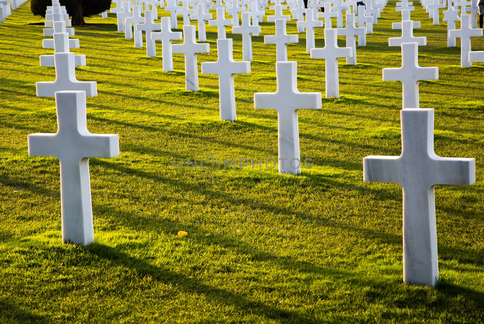 American cemetery in Collevile near Omaha beach