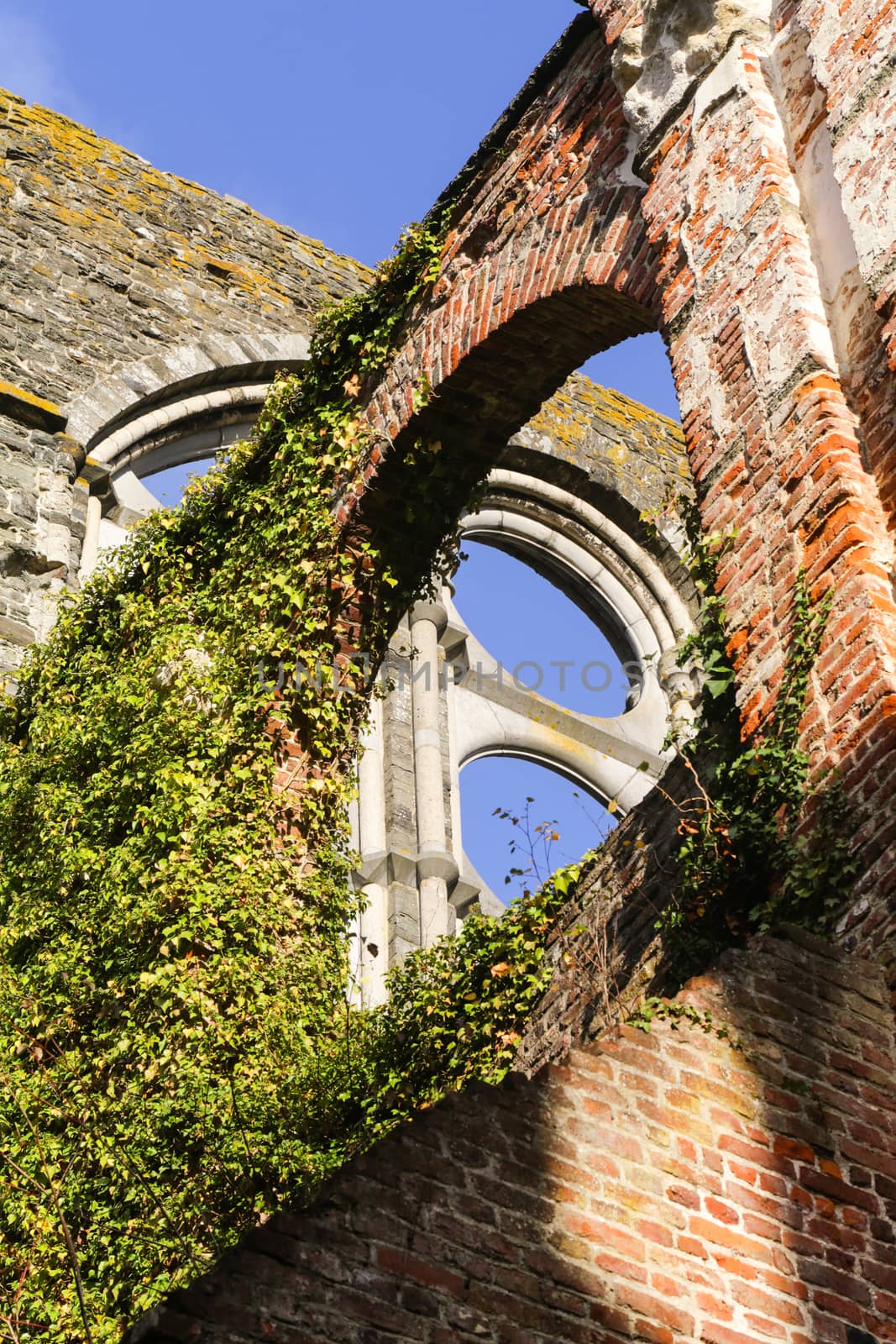 The Abbey of Villers-La-Ville in Belgium