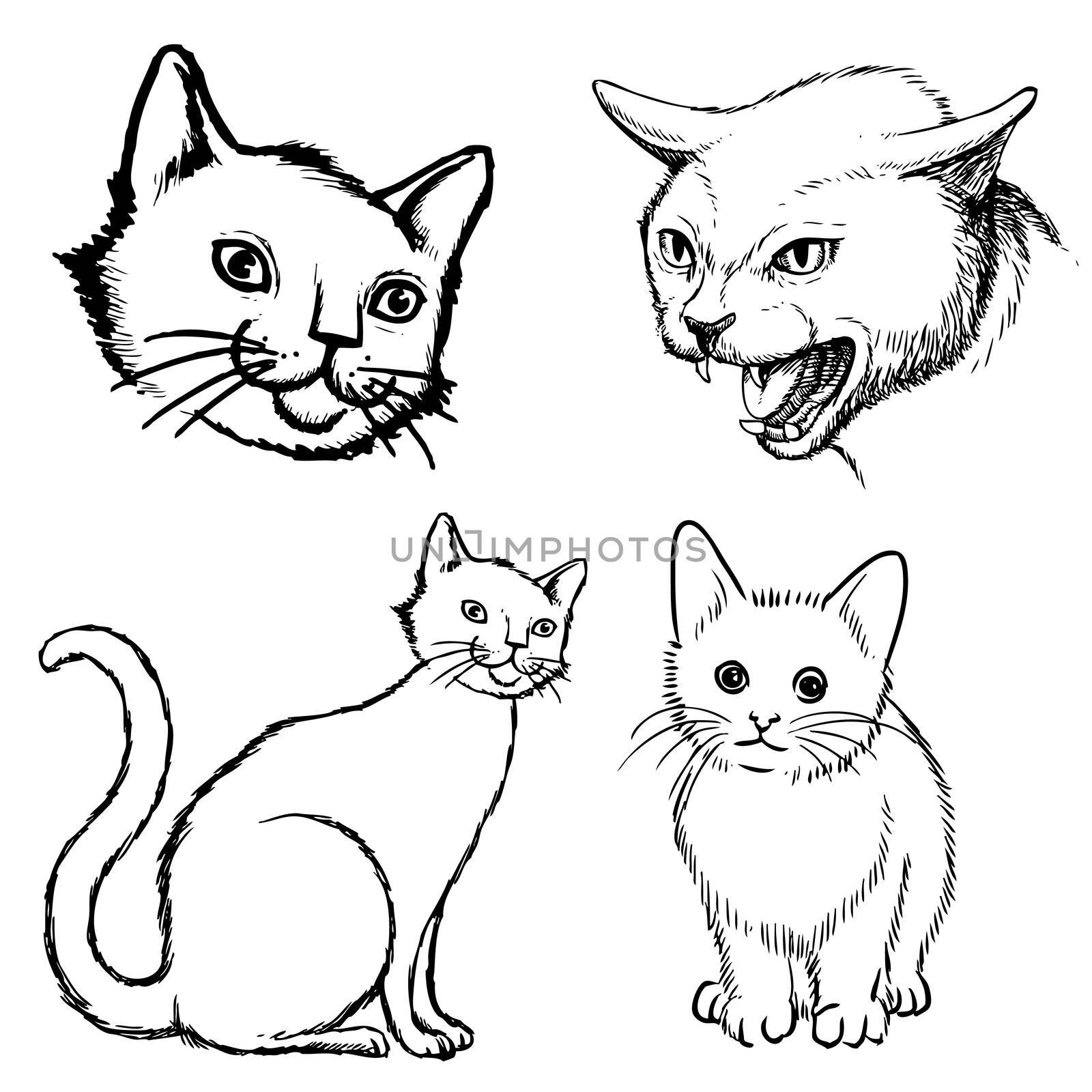 set of cat doodle hand drawn by simpleBE