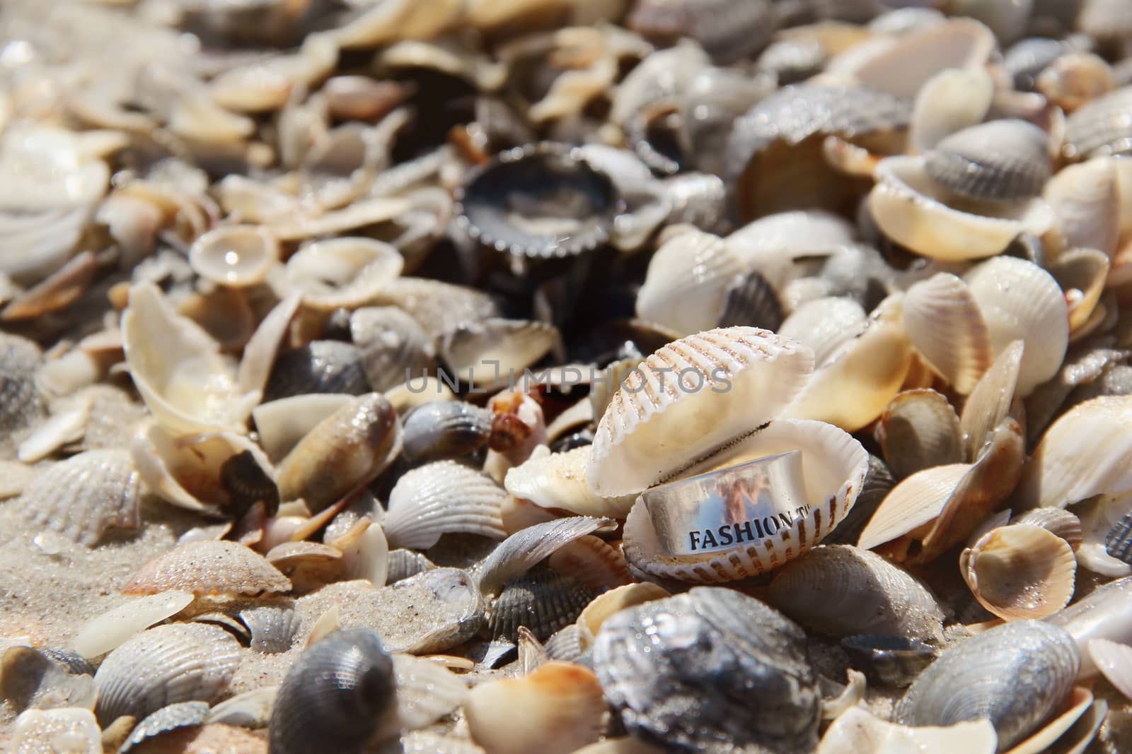 silver ring in the shell on the beach. a photo