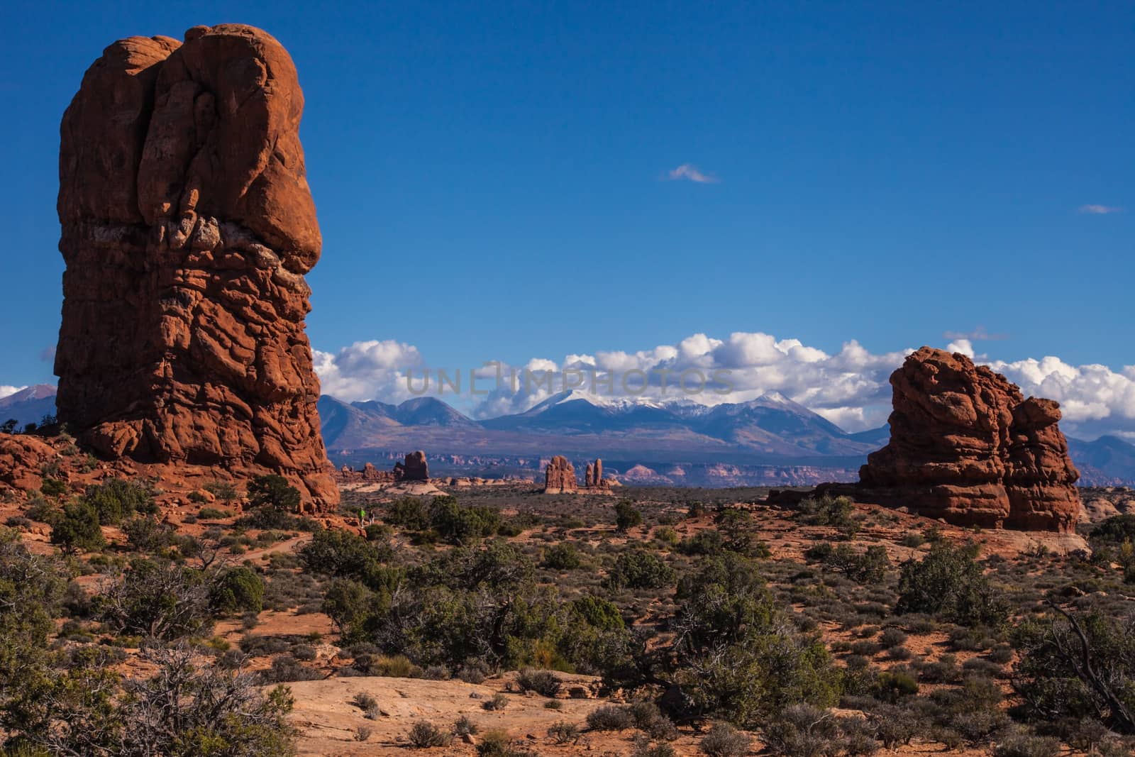 Landscape at Balanced Rock, Arches National Park. Utah