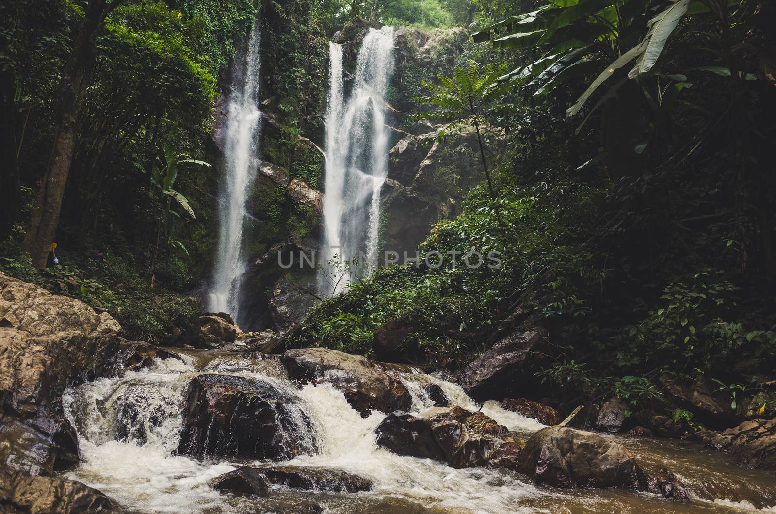 Beautiful waterfall in green forest in jungle by nopparats