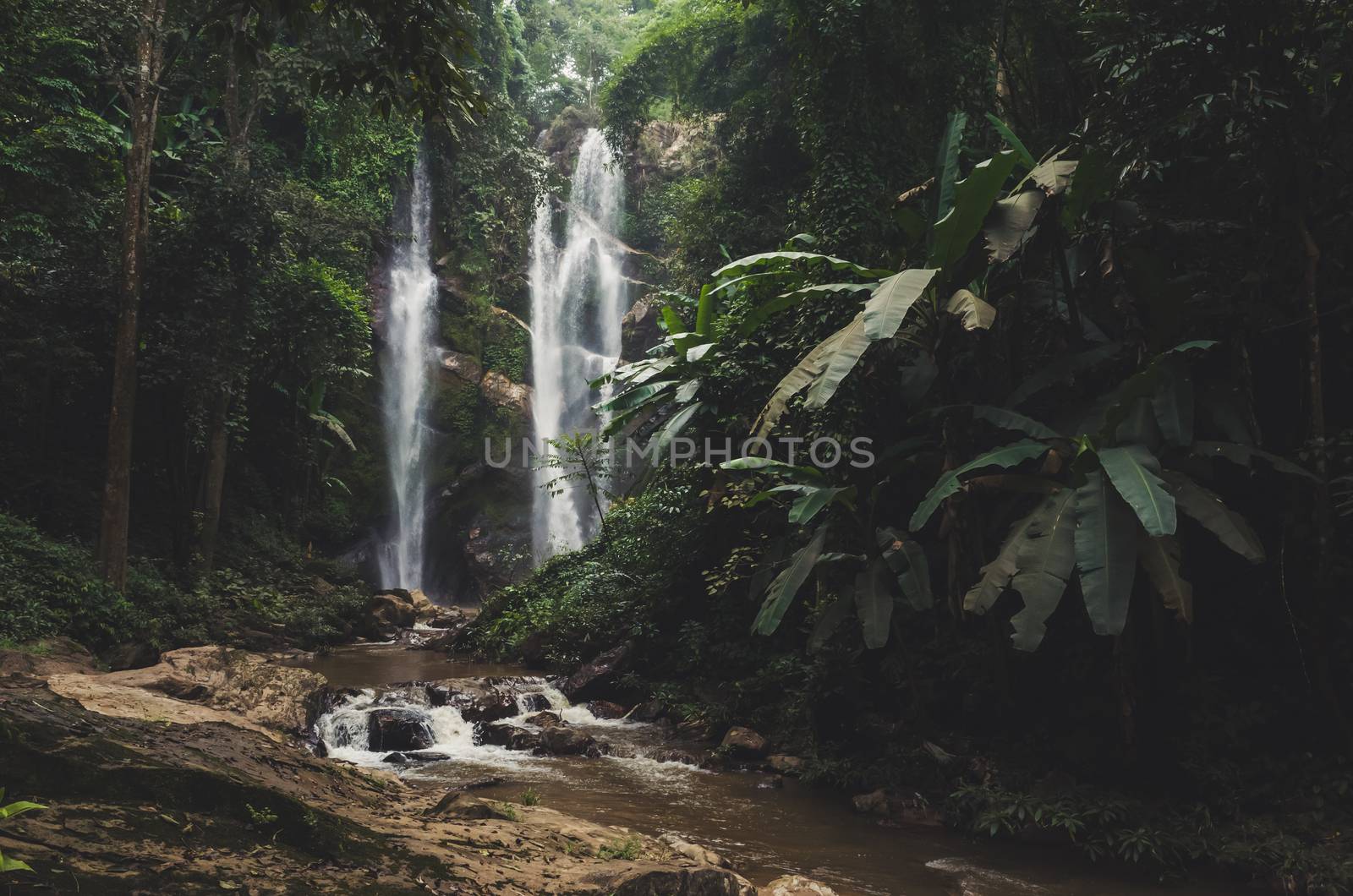Beautiful waterfall in green forest in jungle .
