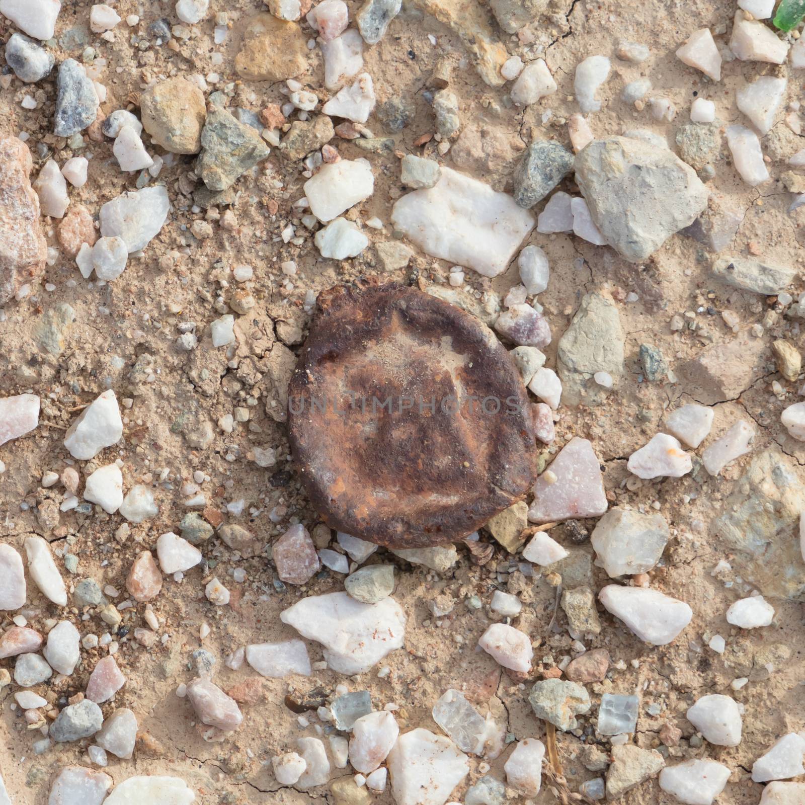 Bottle cap in nature - Pollution in Greece