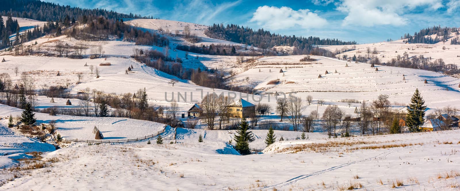 panorama of Carpatian village in winter by Pellinni