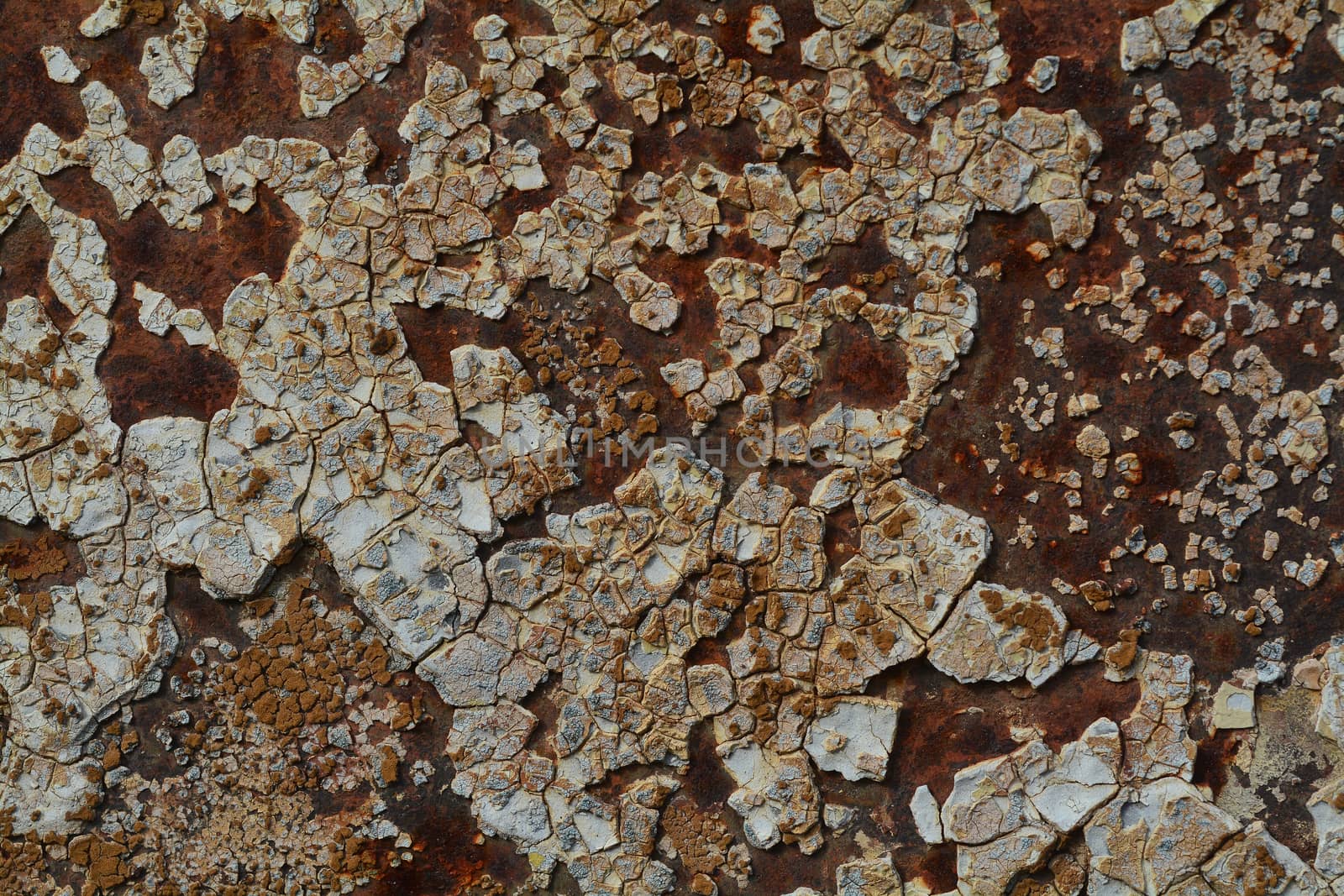 Background texture of Rusted steel Grunge real photo