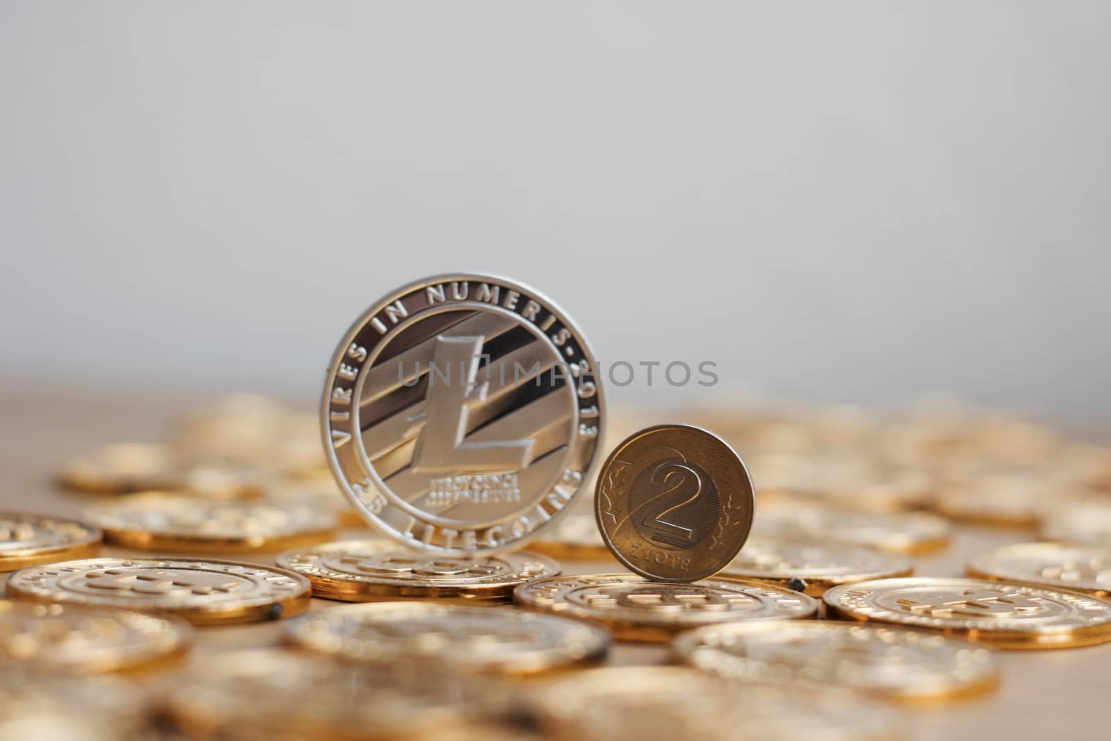 Crypto currency physical metal litecoin coin on the gold money. Digital currency concept.