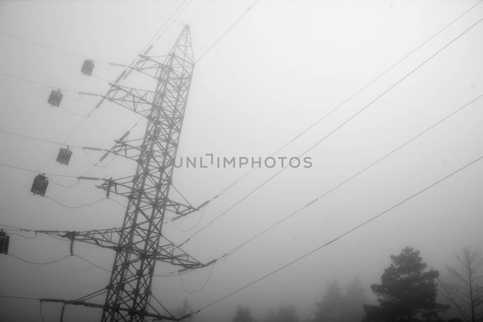 scenery with power line in thick fog morning.