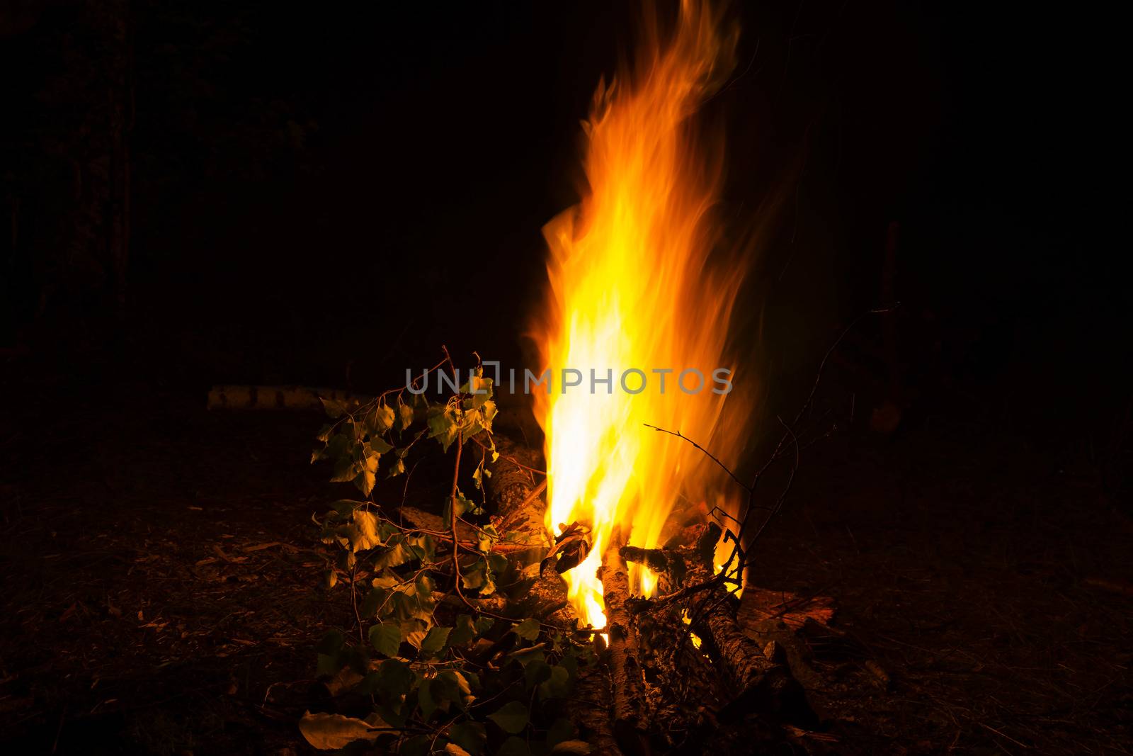 Fire flames. Night shot by esal78
