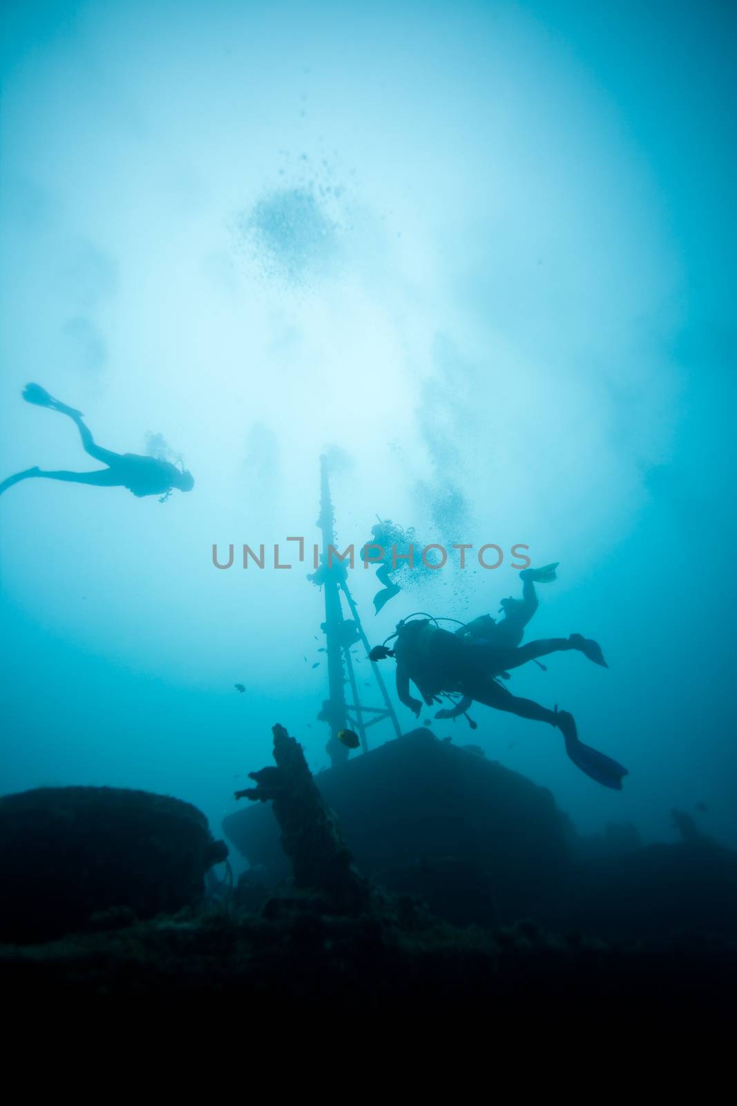 Mauritius - Africa - Underwater team