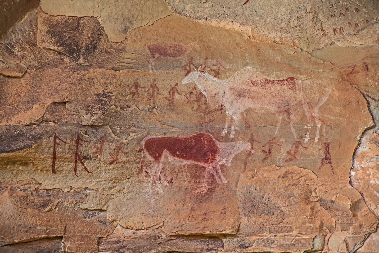 Bushman Rock Art in the "War Cave" near Injisuthi in the Drakensberg South Africa.