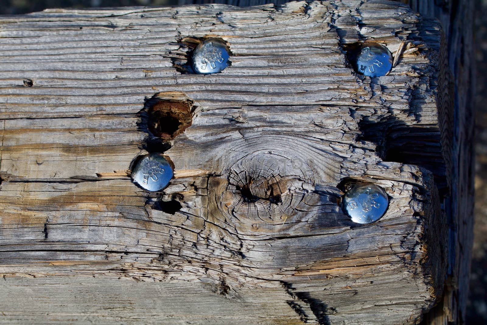 Old wooden beam with shiny bolts