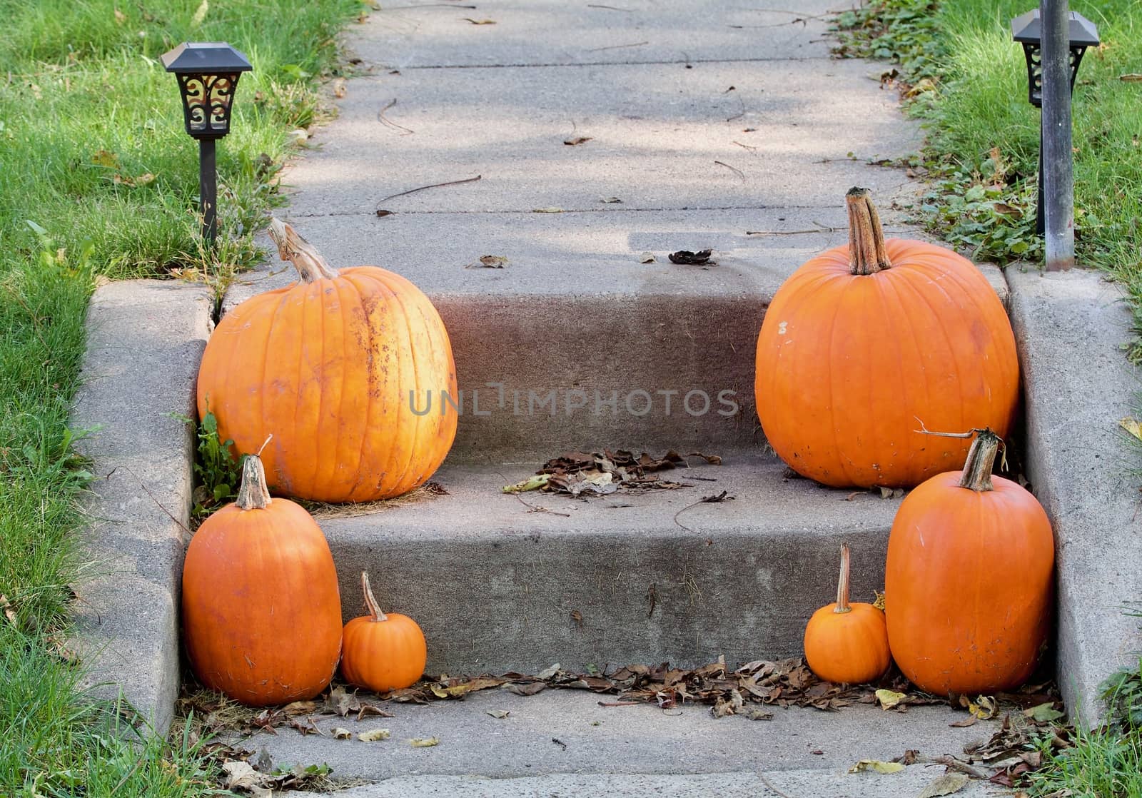 Pumpkins on the step