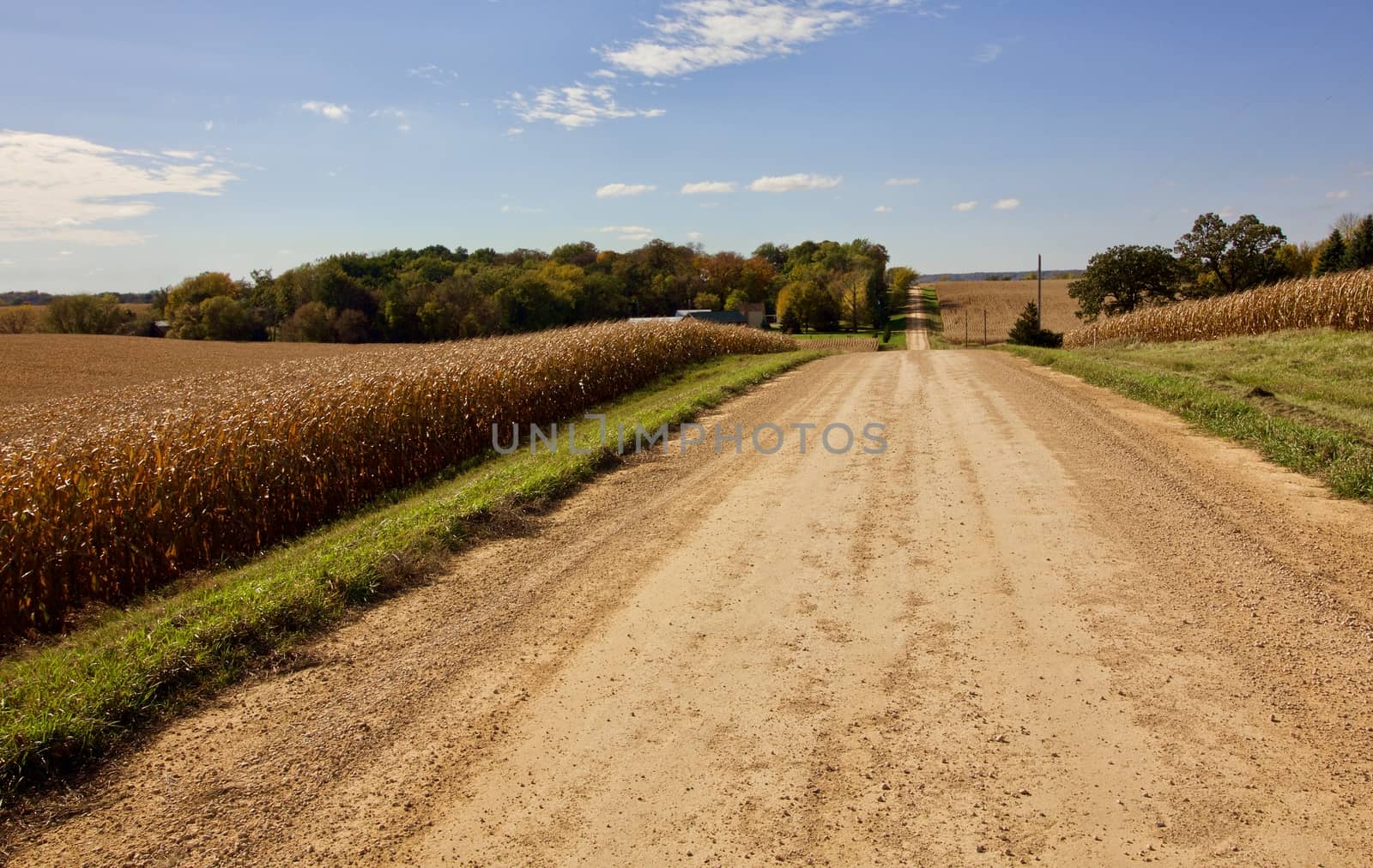 Long road across the autumn valley