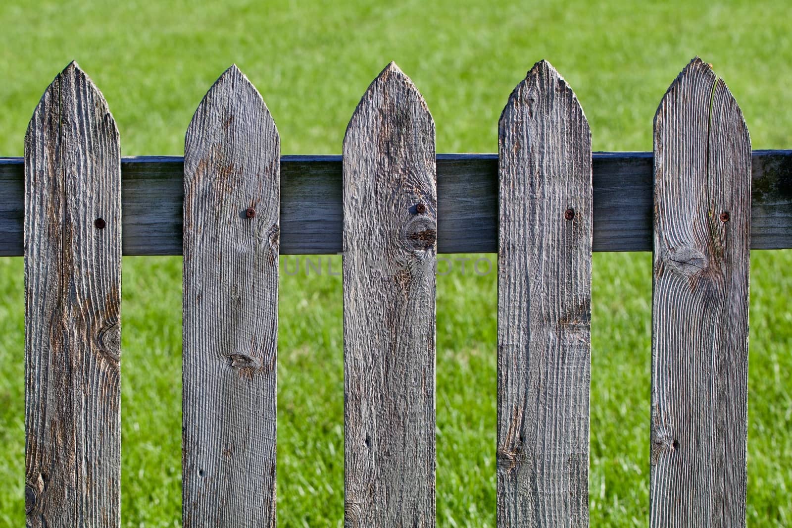 Weathered wood picket fence against the grass