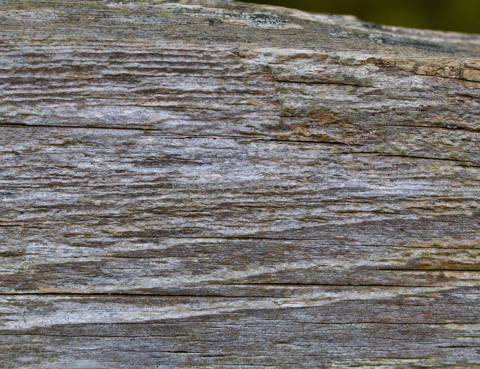 Old wooden fence background