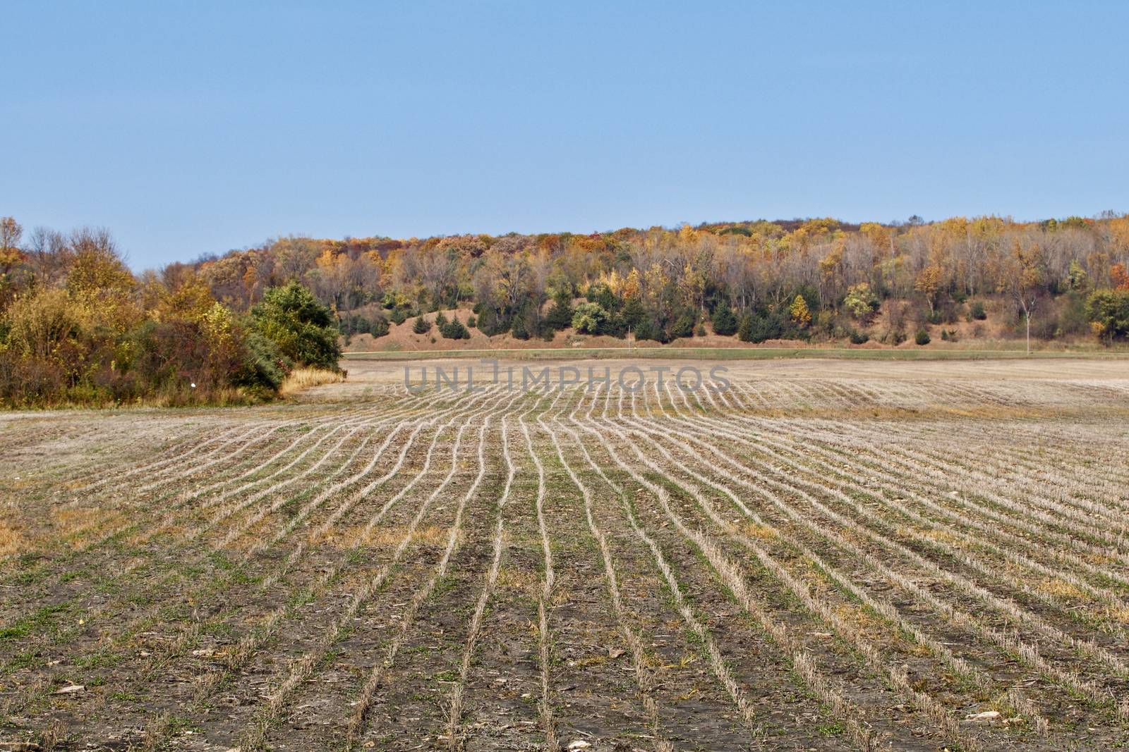 Autumn soy bean harvest complete