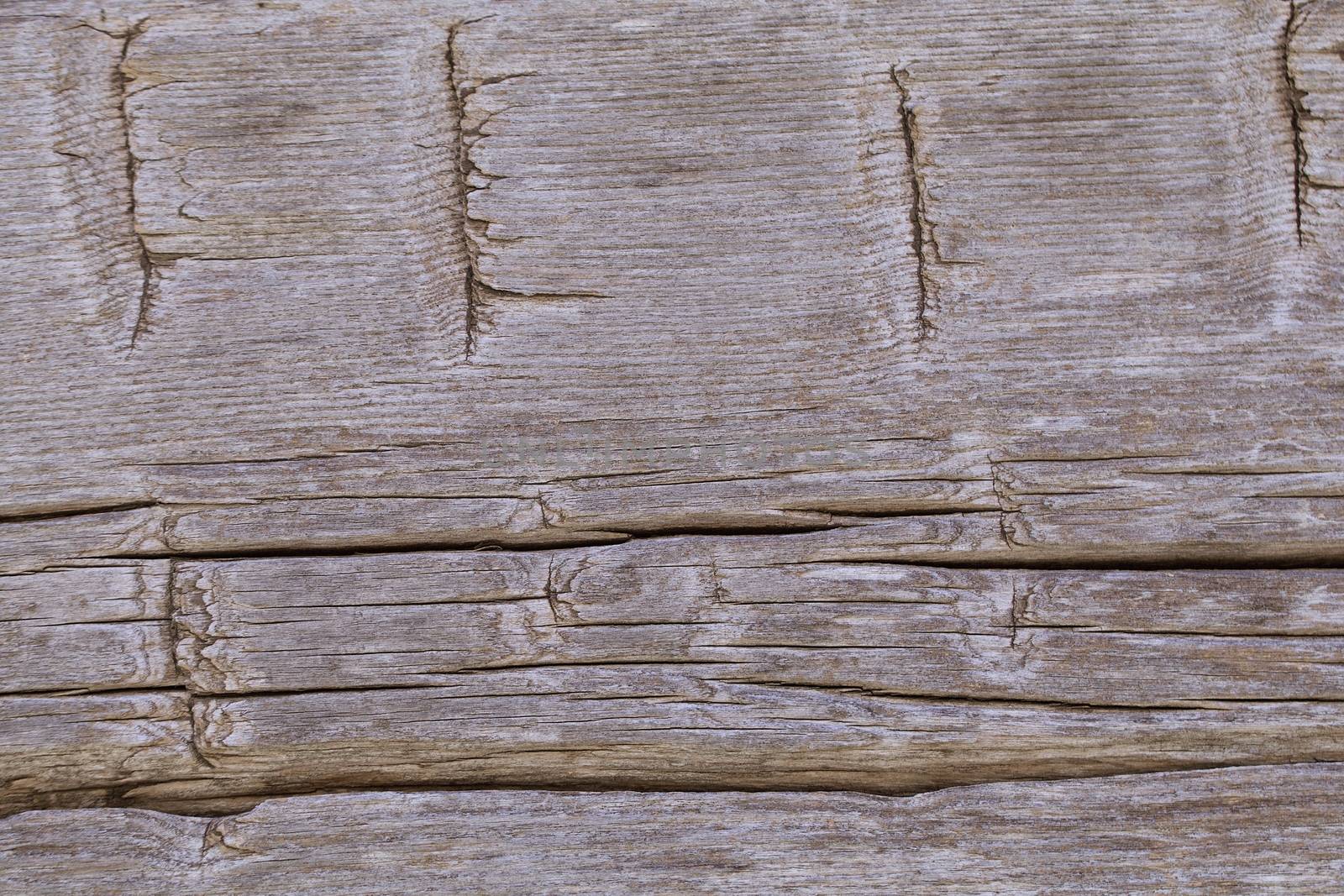 Notched nineteenth century cabin wood background