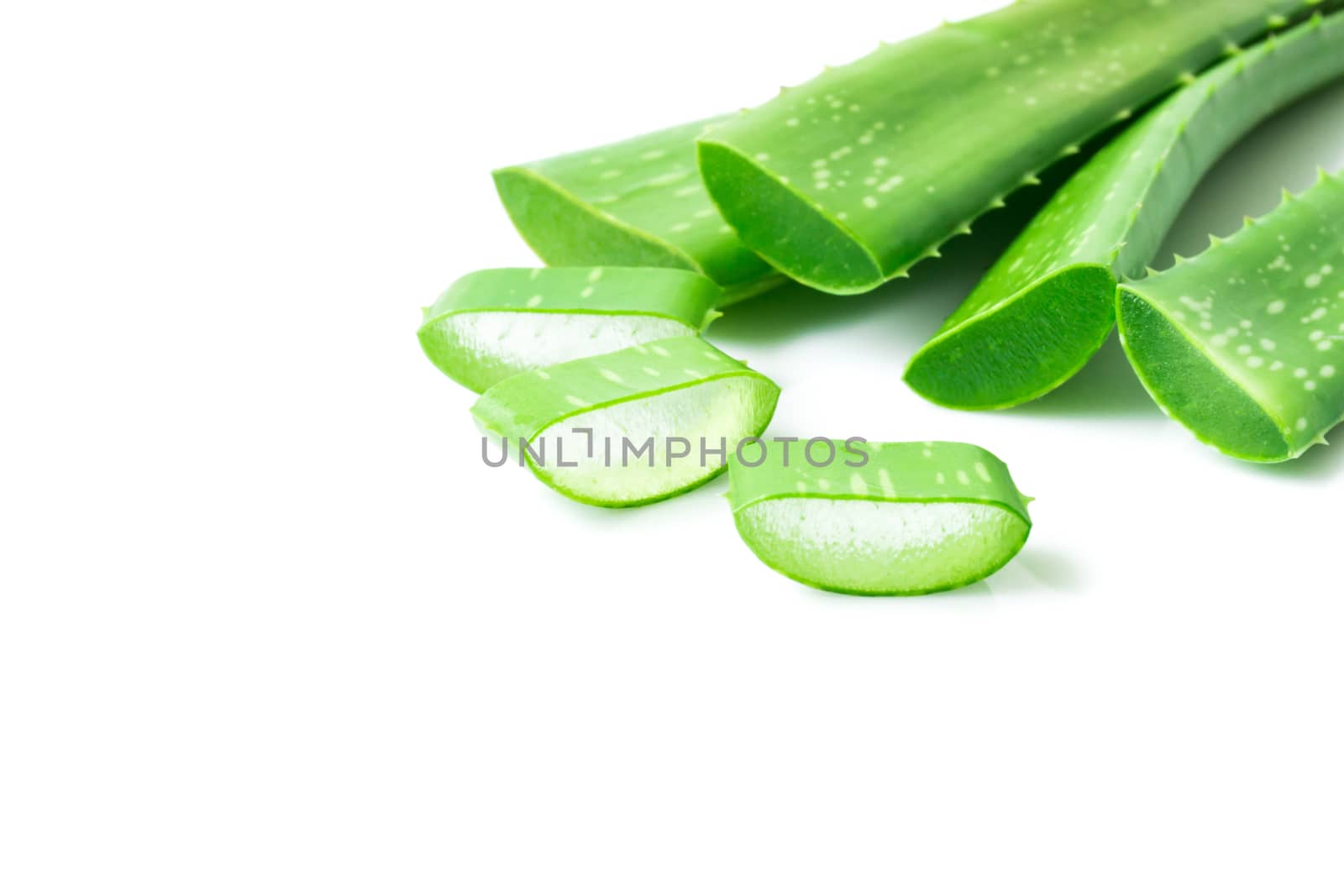 Aloe vera with sliced on white background for beauty and healthy product concept