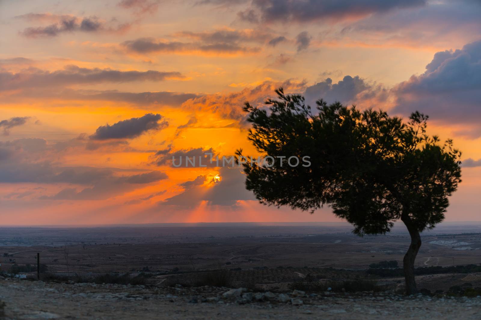 countryside, color sky at sunset in the desert